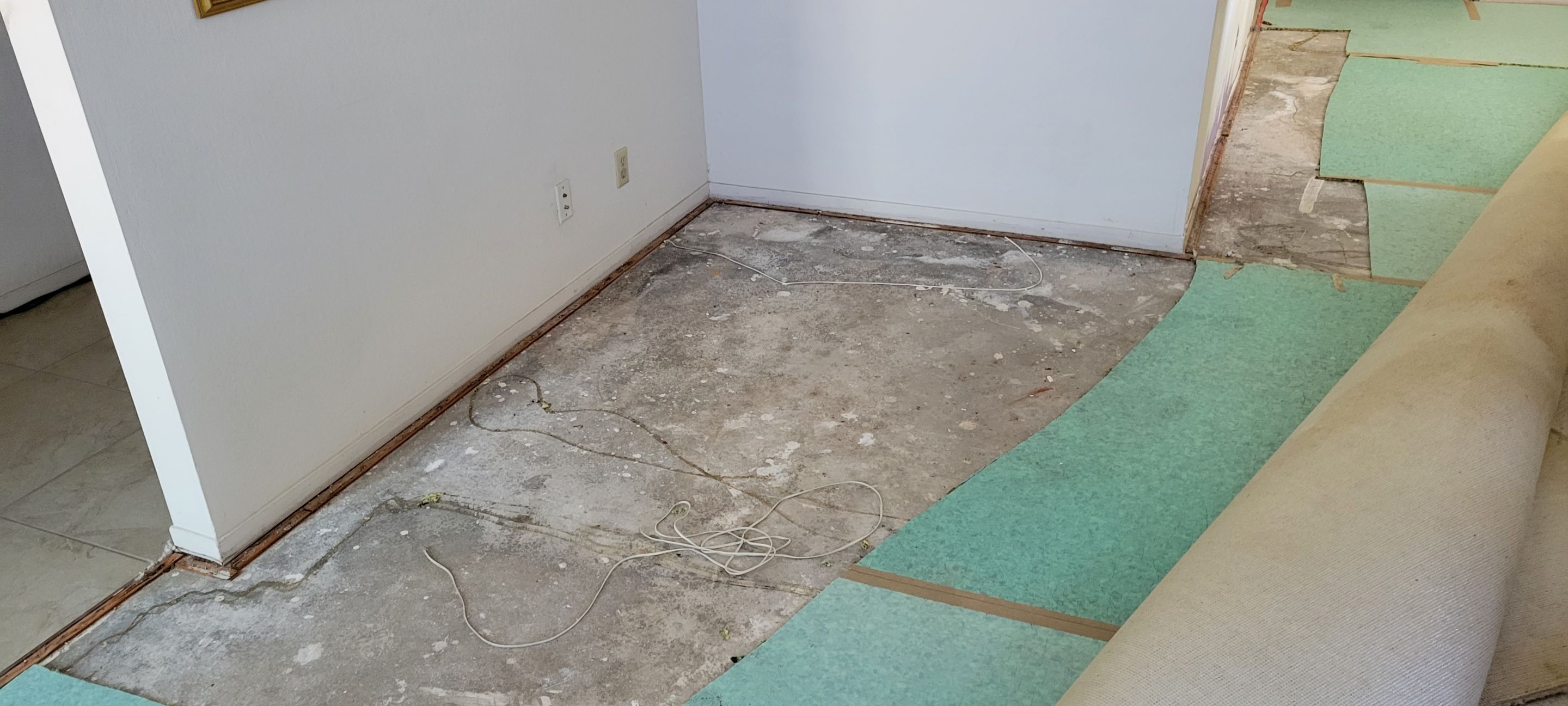 Carpet Re-installation after Flood Damage by Ardent Carpet Restore LLC