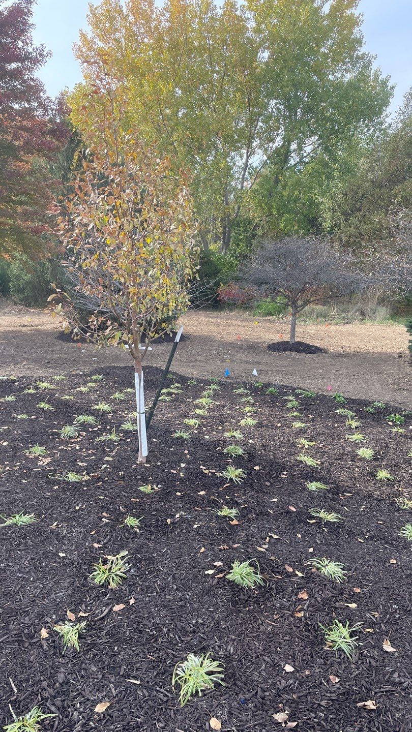 Landscape Bed Updates.  by New Horizon Landscapes