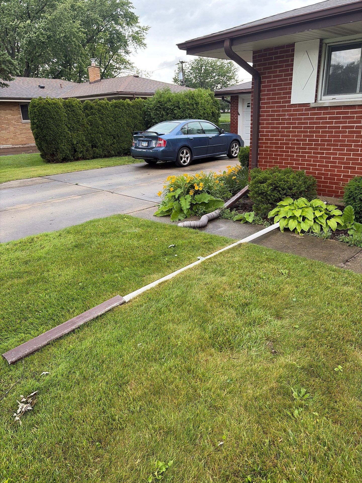 Martha C. - Mount Prospect, IL by A&N 