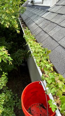 Turtle Shell gutter protection installation in Warrenville, IL 60555, photograph 24