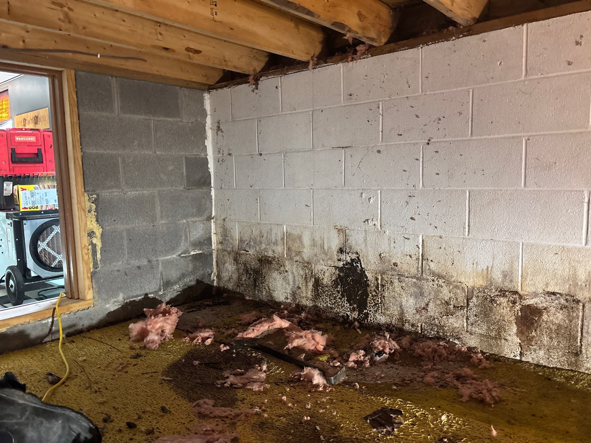Solving Mold, Moisture, and Crawlspace Problems in Rayland, OH by Home Environment Solutions