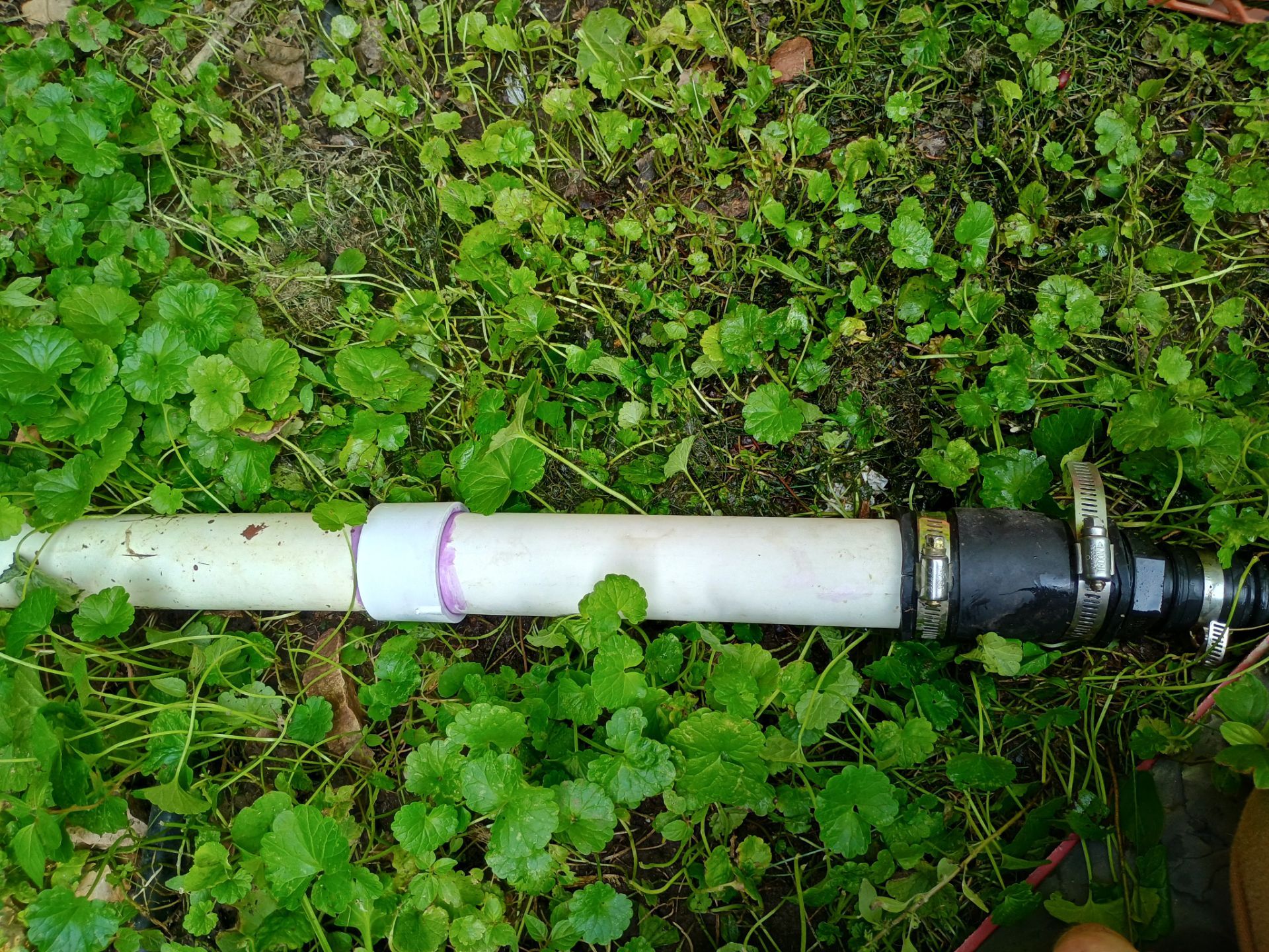 Sump Pump & Discharge Upgrade in St. Anthony, MN by Waterproofing Northeast