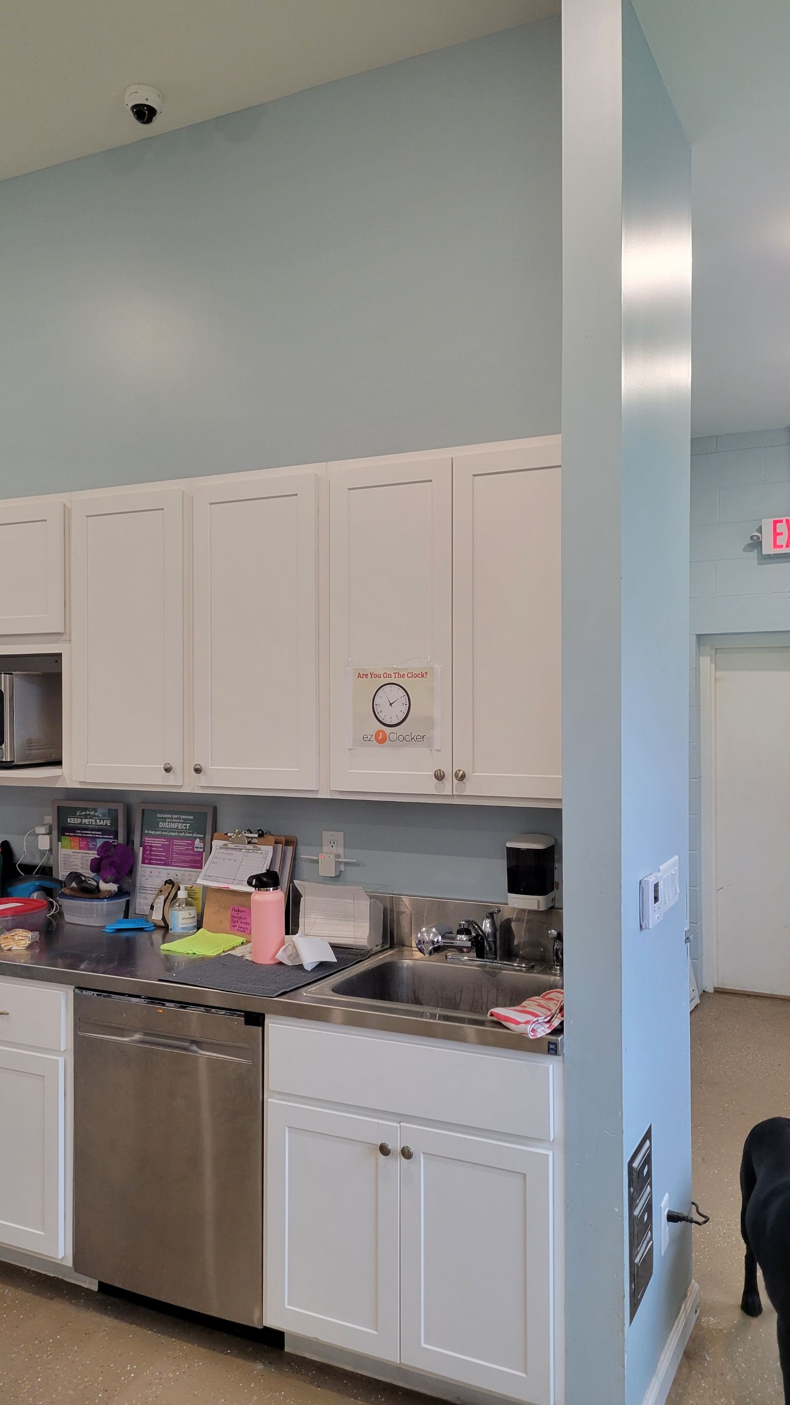 Kennel Floor Coating and Wall Painting using Penntek by Spectrum Painting, LLC