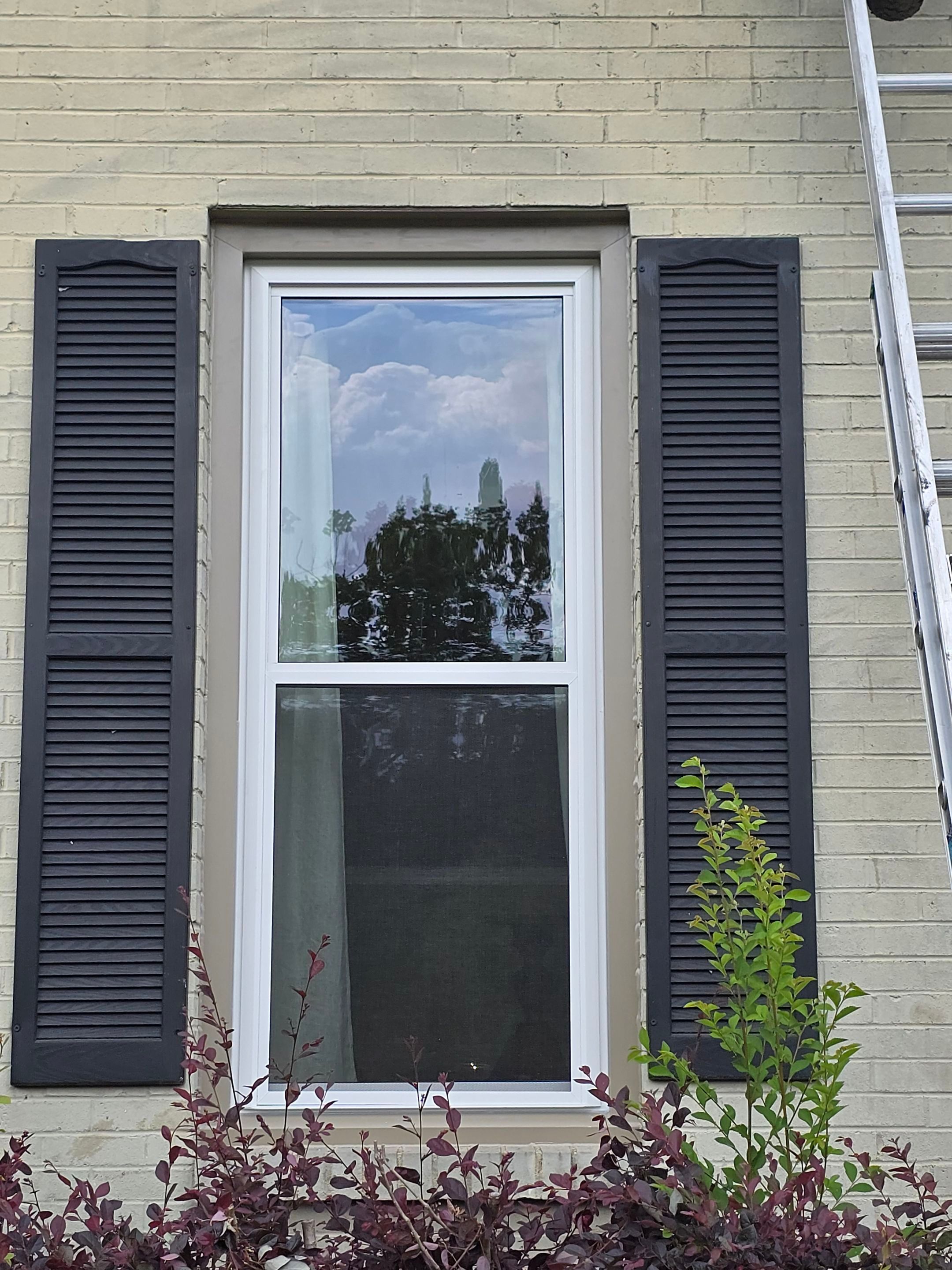 Bush Project in Vestavia Hills by The Window Source