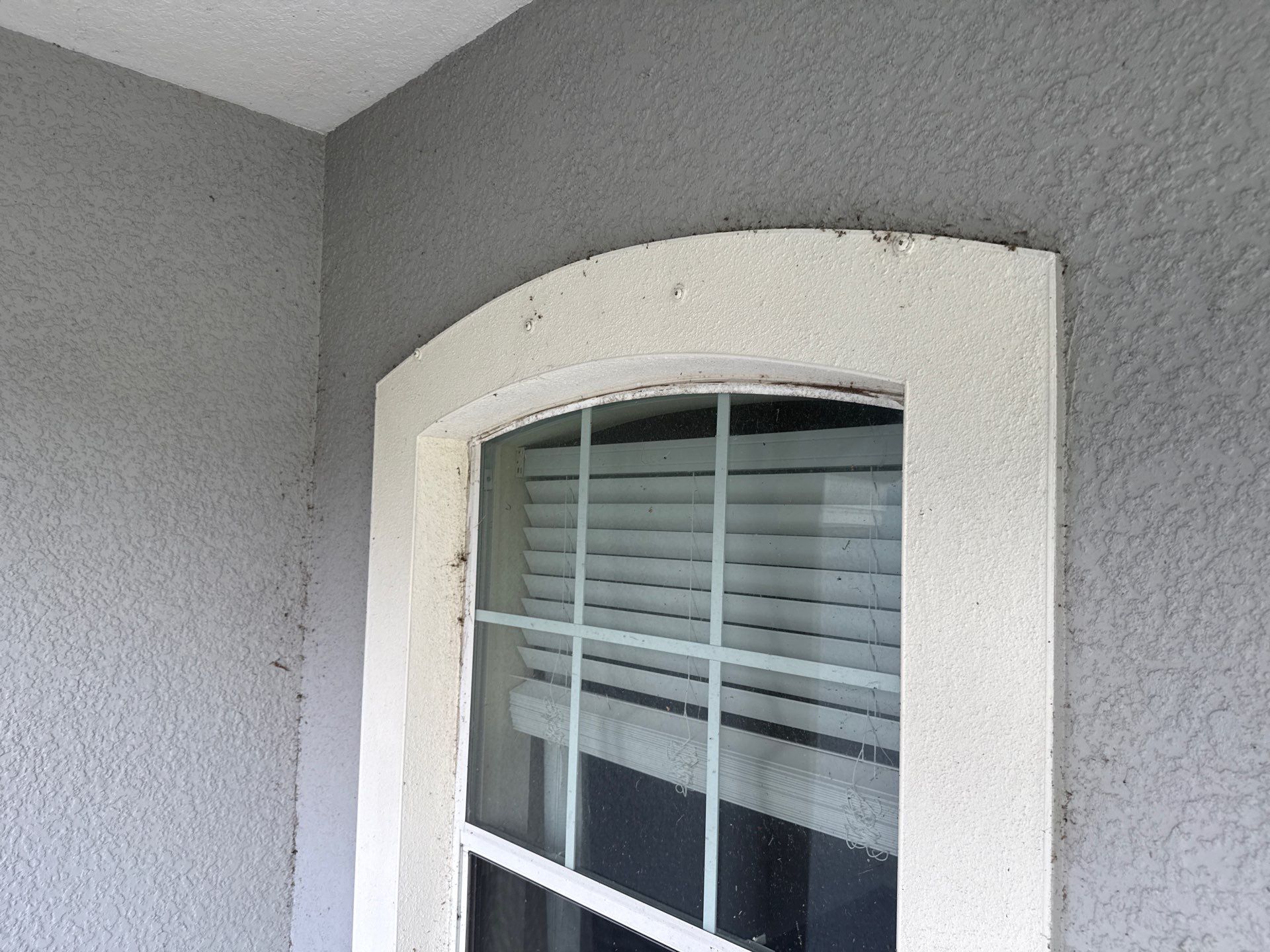 Pre-Sale Exterior Cleaning – Forest Creek Community, Parrish, FL by Sunshine AquaWash