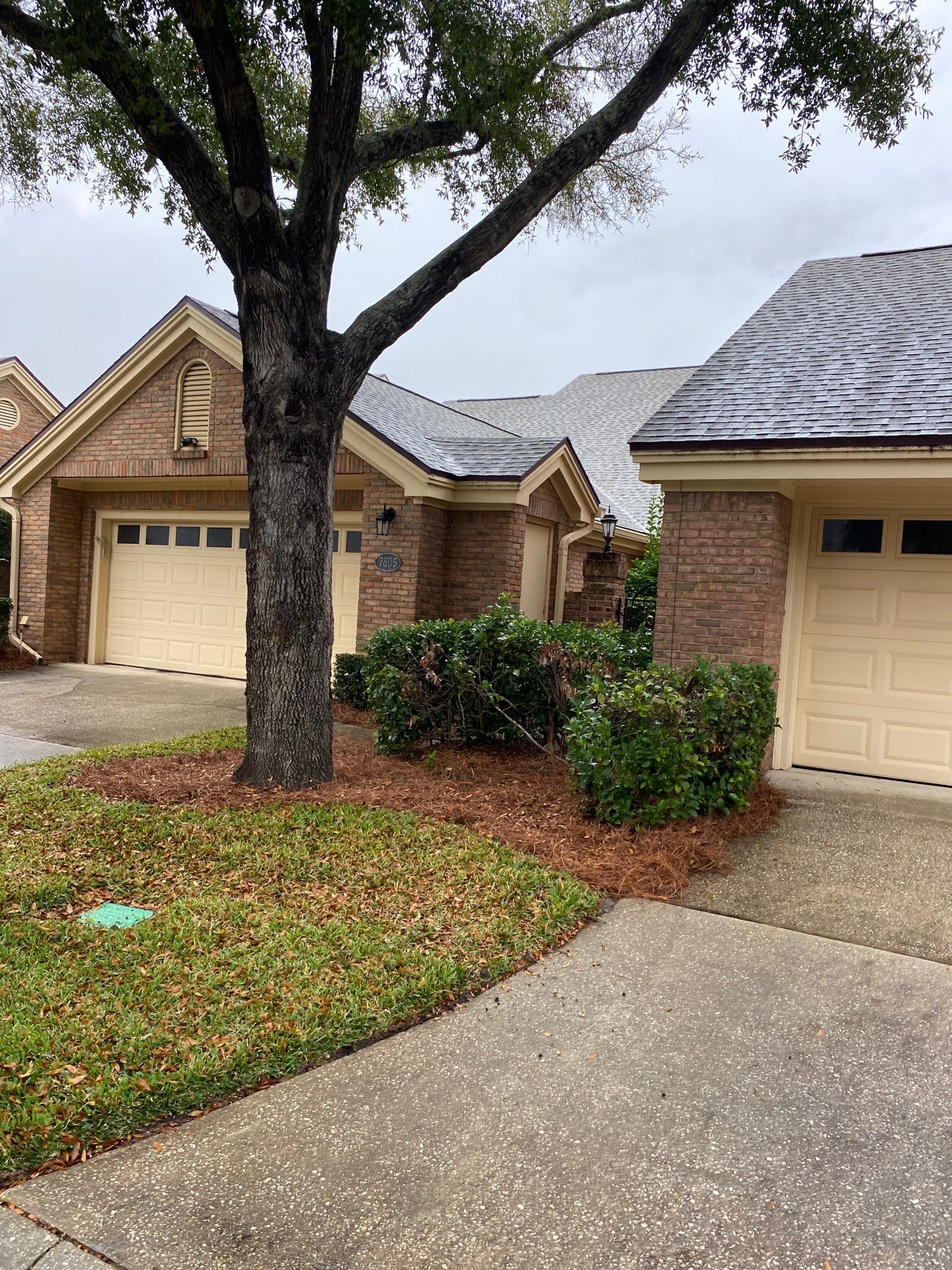 Deerwood Pointe | Tree Removal & Pine Straw Installation by ProGreen Services