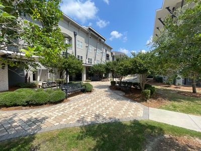 COMMERCIAL LAWN MAINTENANCE: HEDGE TRIM / BED CLEAN