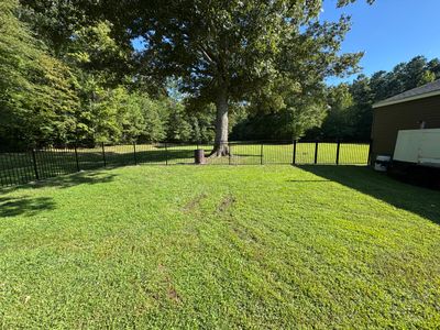 Lightweight Look, Heavyweight Performance