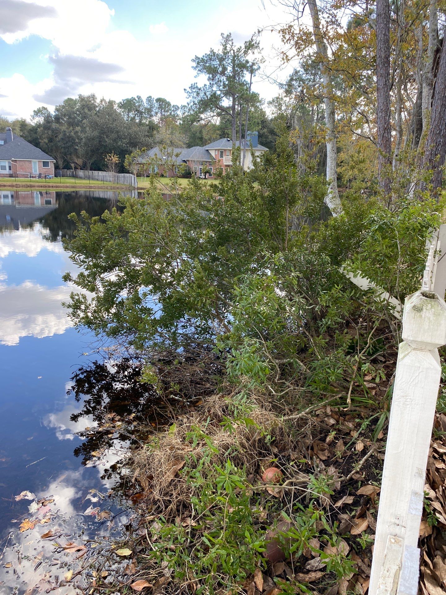 Deerwood Resident | Tree Removal & Palm Trimming by ProGreen Services