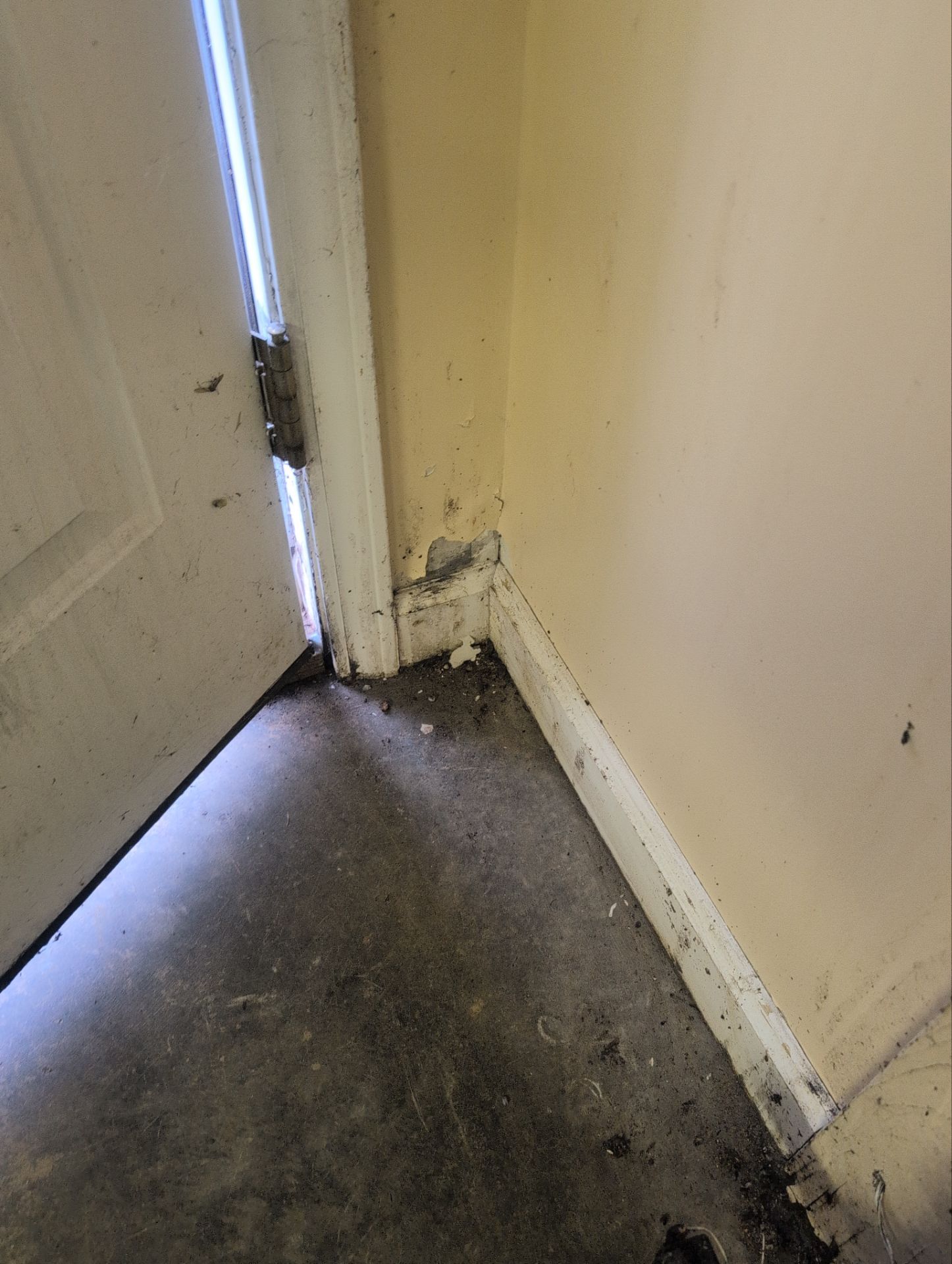 Mold remediation in Wheeling WV by Home Environment Solutions