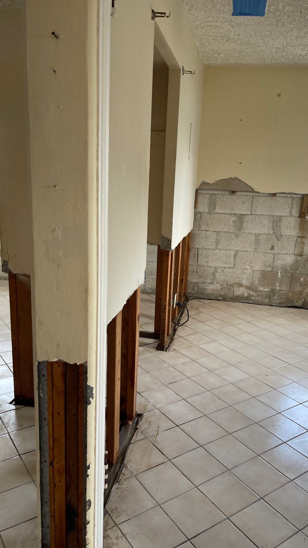 Mold Remediation  by THE RAPID TEAM