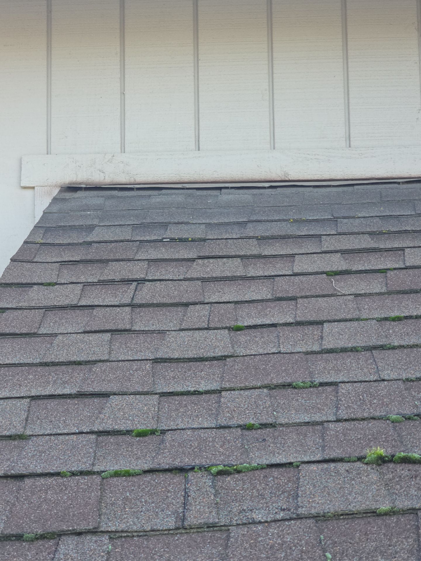 Roof Rejuvenation using Roof Maxx Treatment by Roof Maxx of Folsom