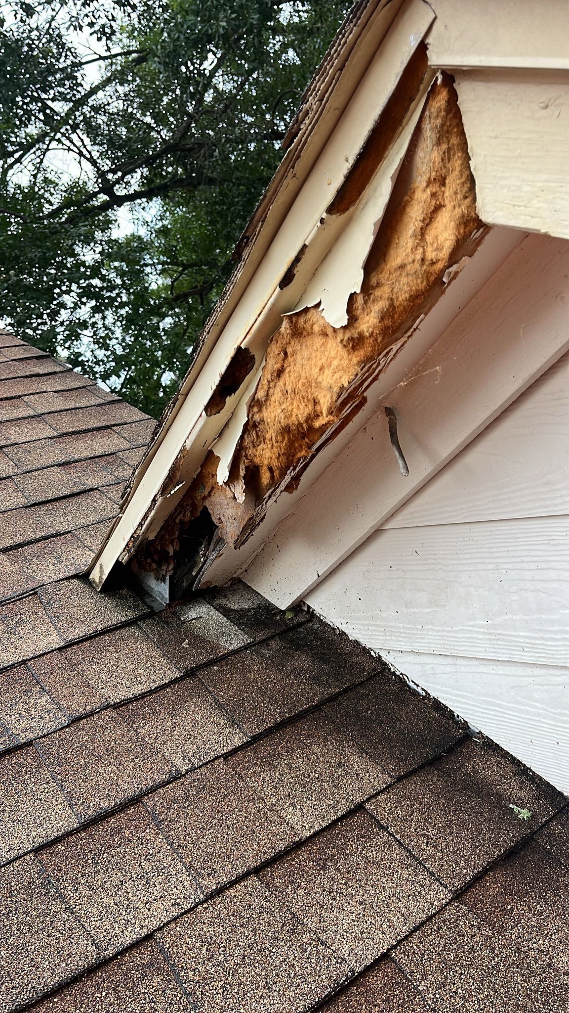 Roof Repair Spring by Roof Repair Company