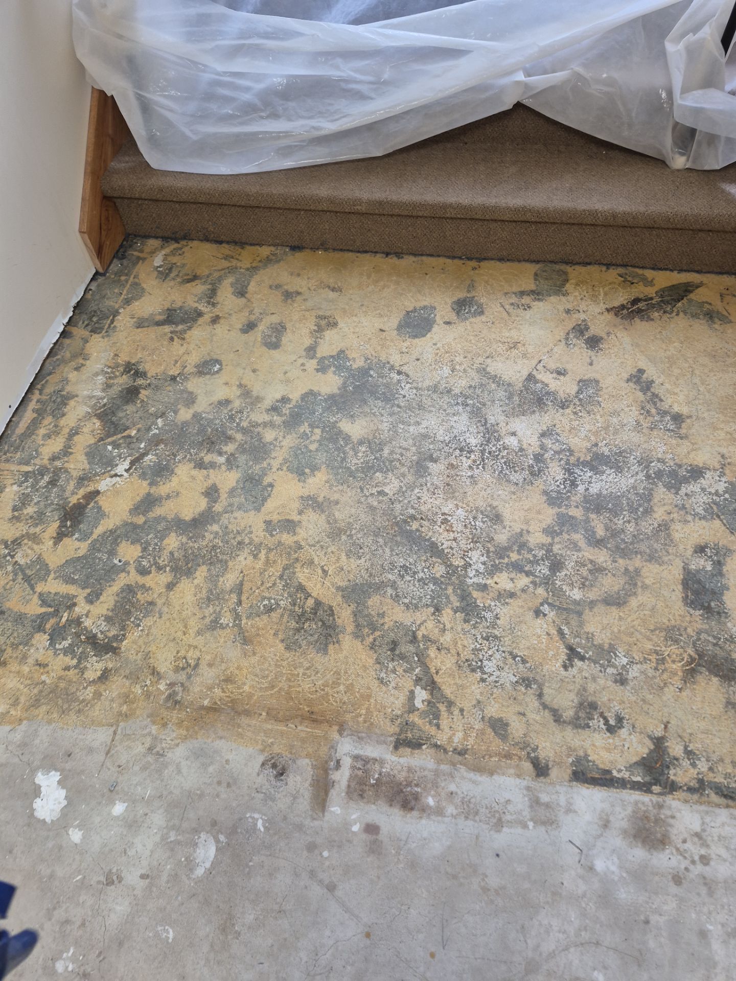 Project in Maple Rapids by Wise Coatings of Central Michigan