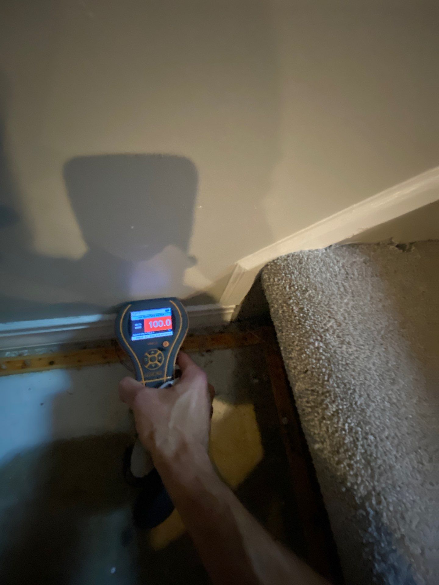 Project in West Bloomfield by EzDry Water Mitigation & Property Restoration