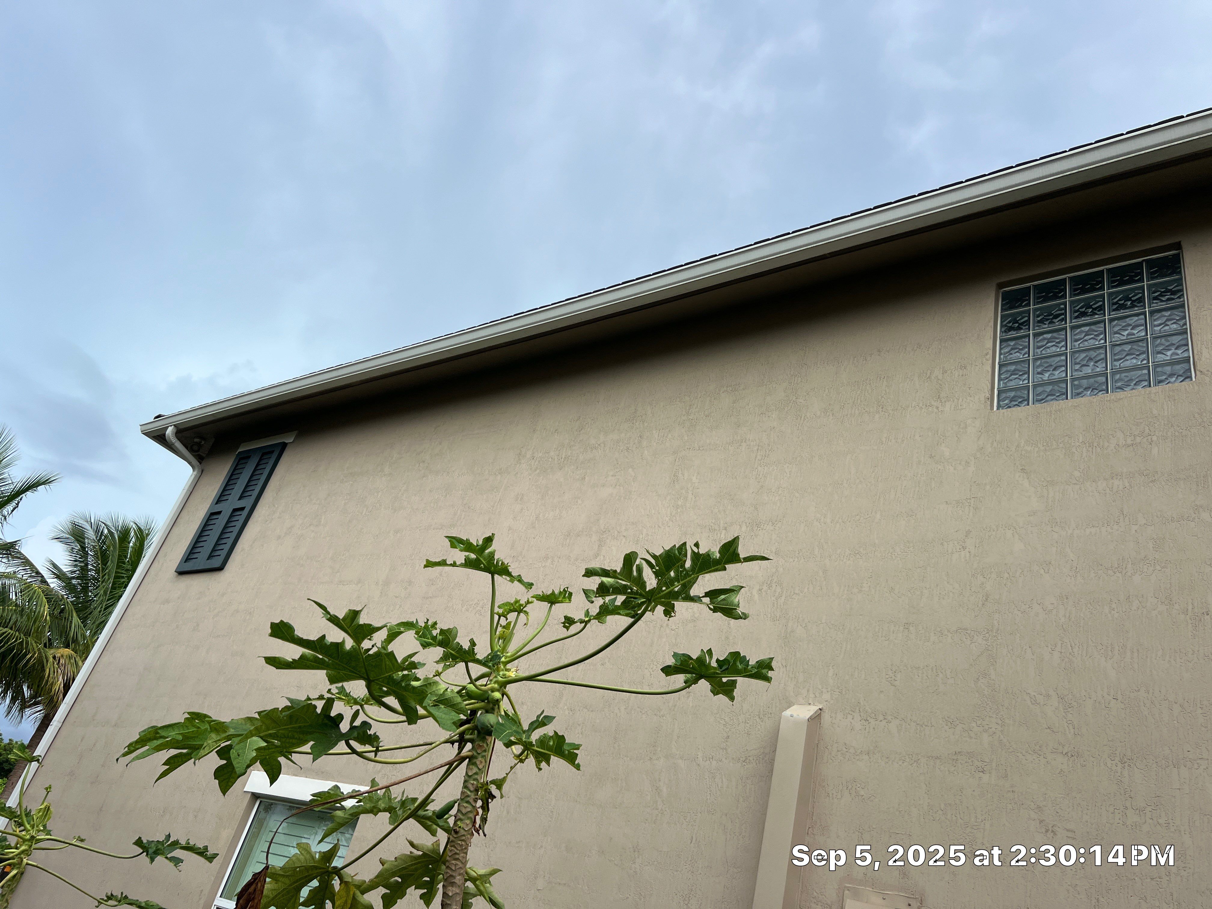 Heron Bay Parkland Painting by BKB Pressure Cleaning LLC