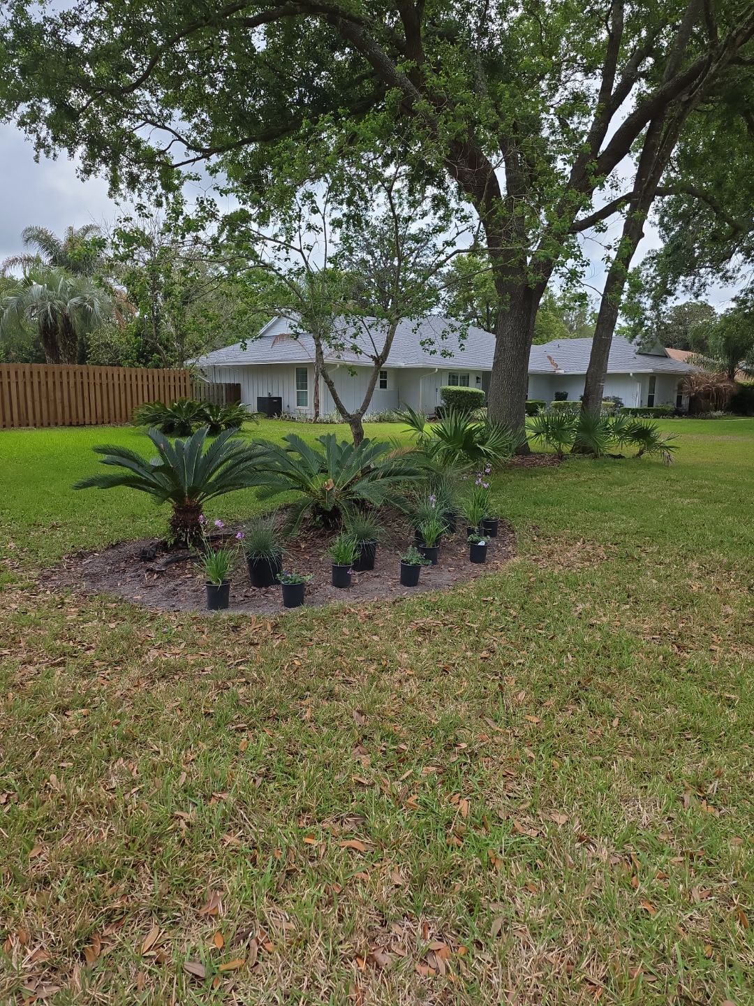 Deerwood Resident | Landscape Design by ProGreen Services