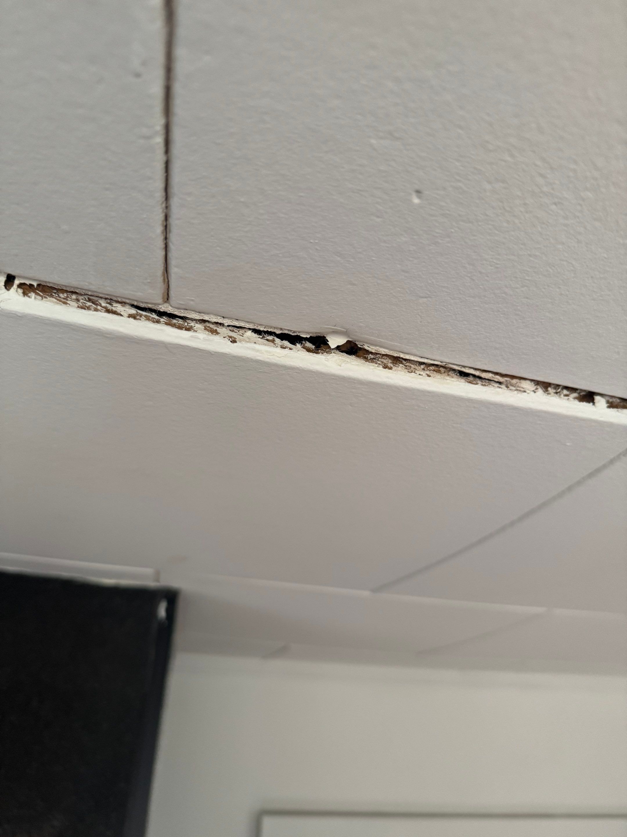 Water damage by YVR Construction Group