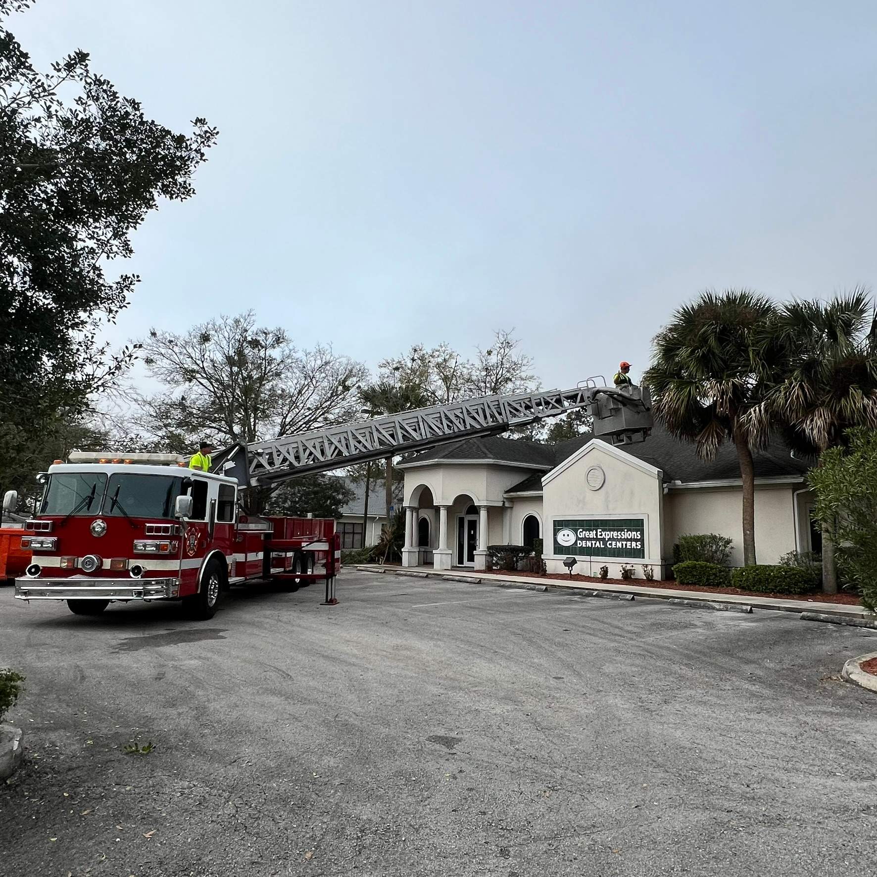 Tree Work | Great Expressions Dental by ProGreen Services