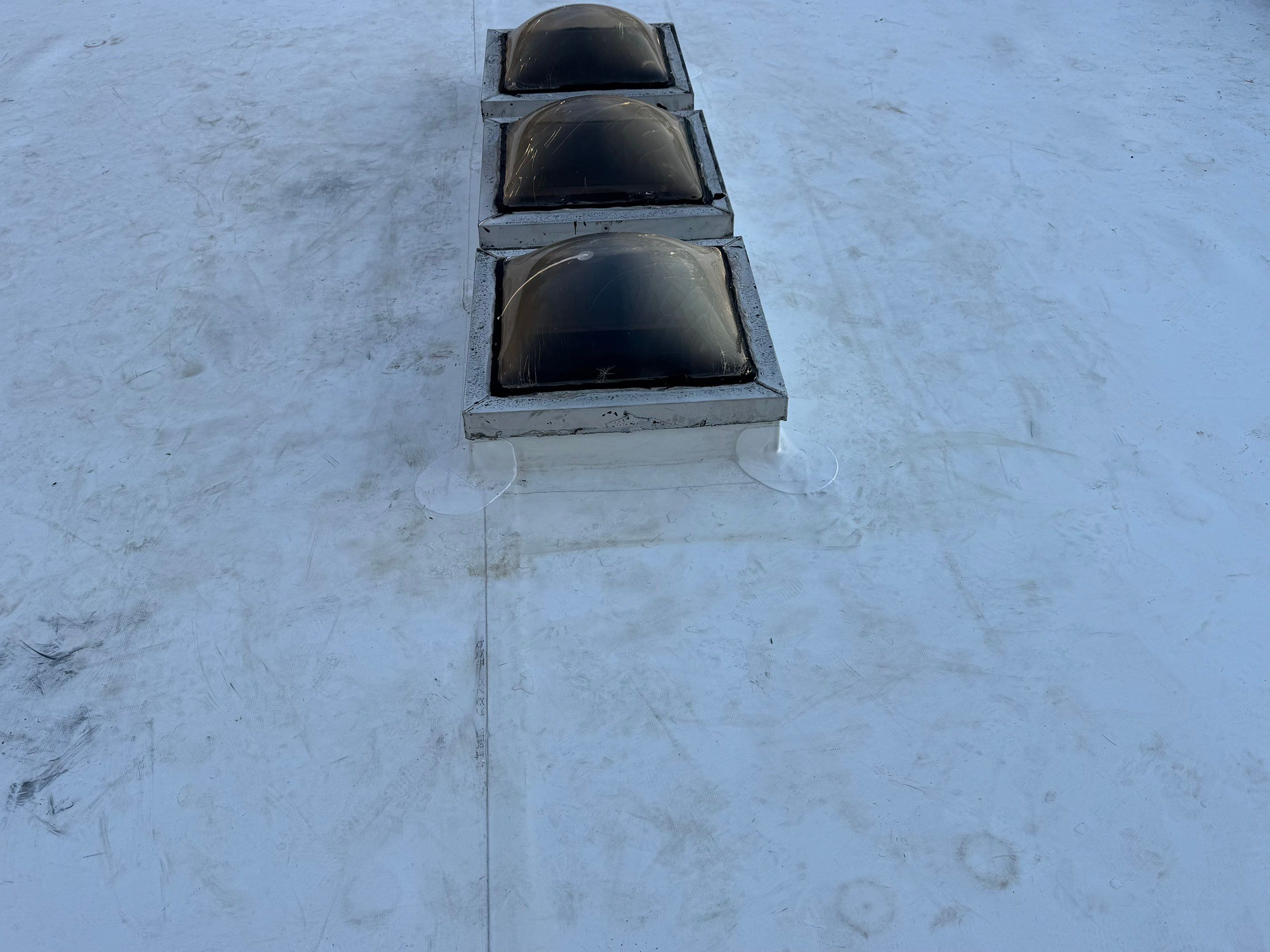 Project in Washington by Elvis General Construction LLC