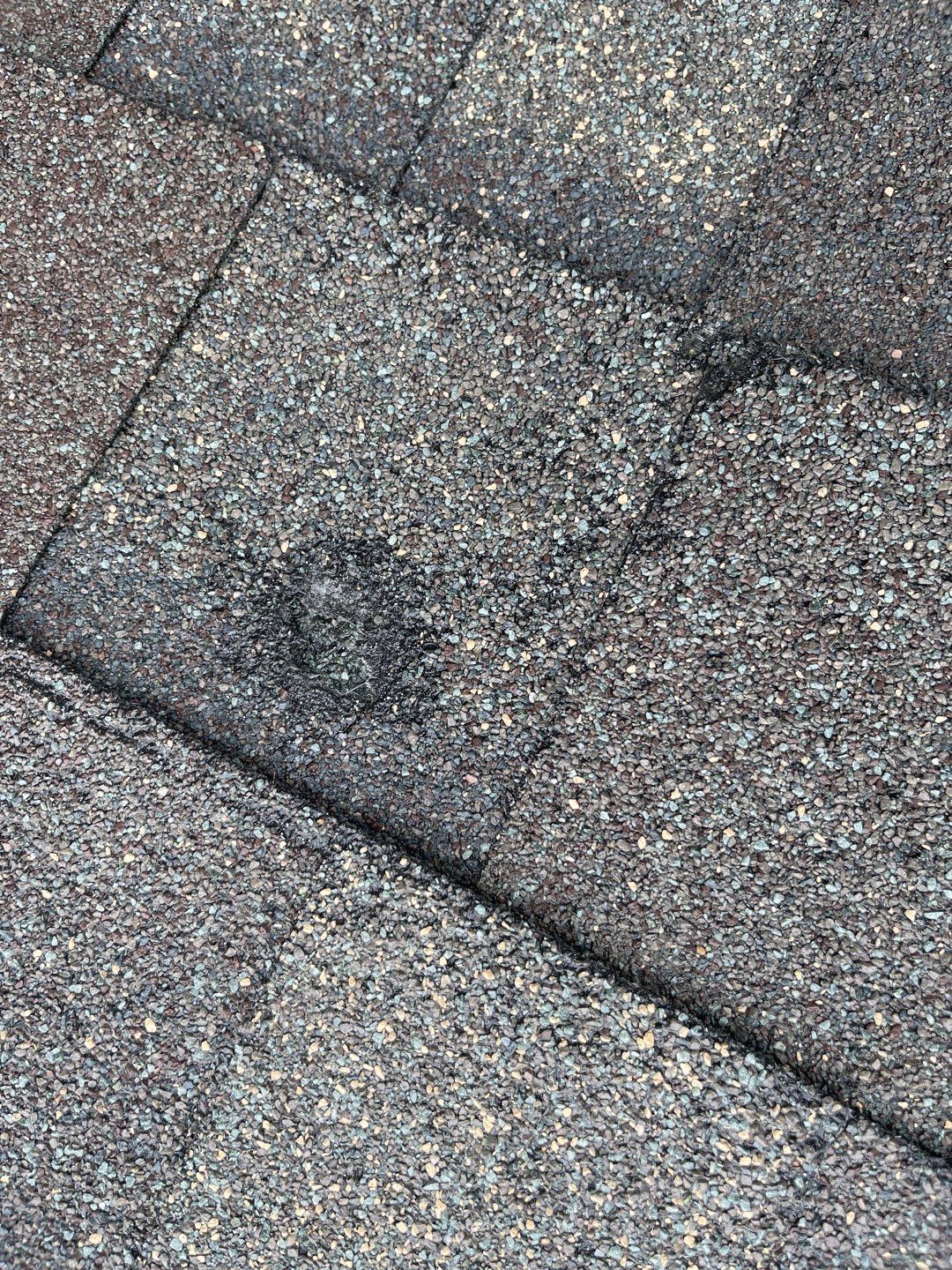 Faulty construction by Constructive Project Management