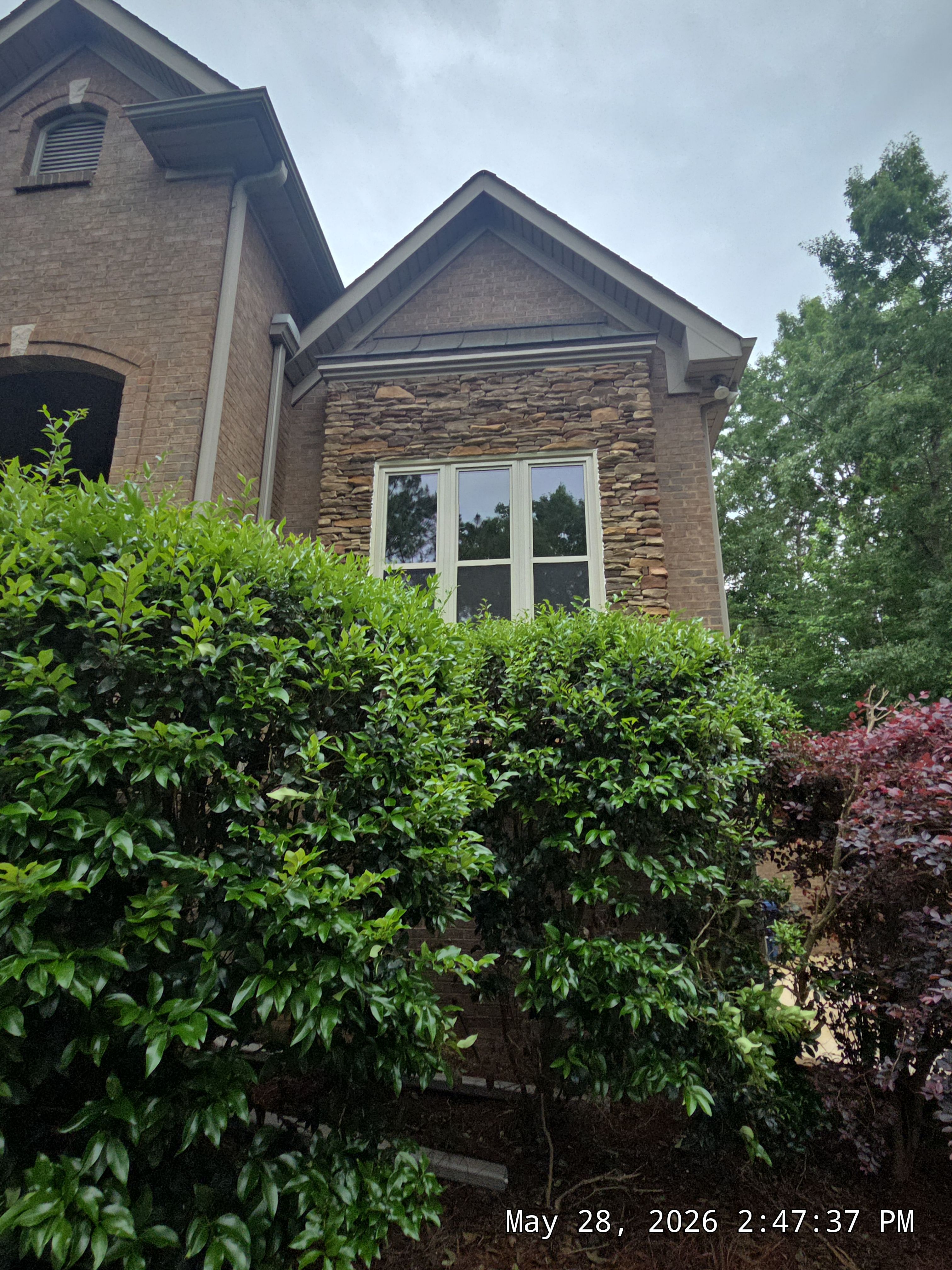 Bruner Project in Helena by The Window Source