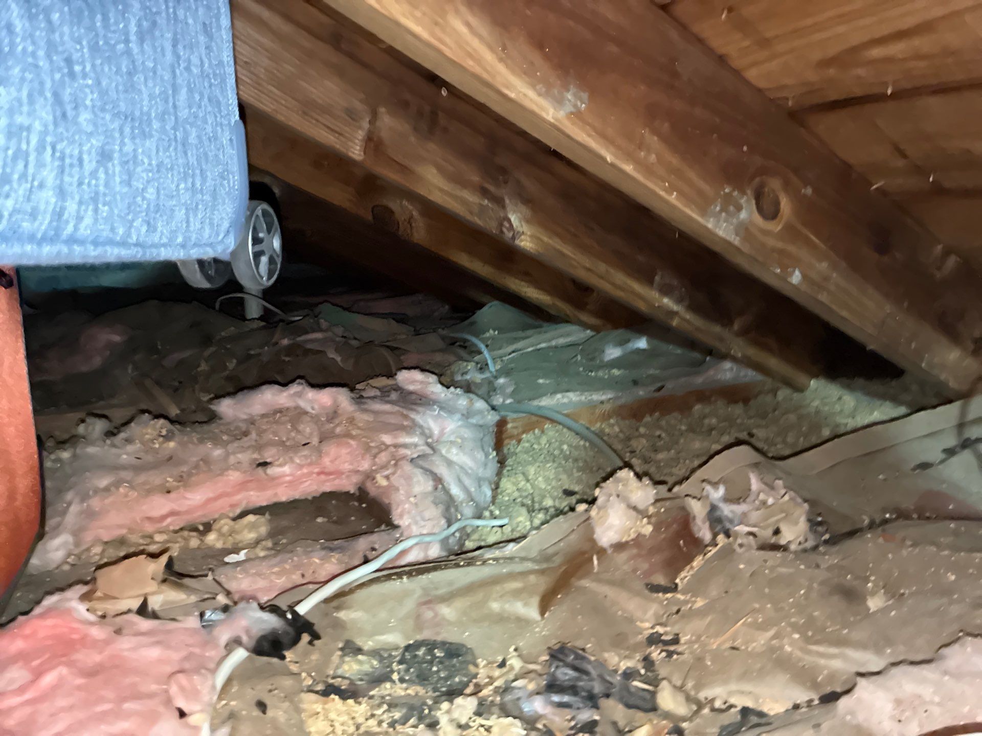 Project in Arlington, VA by Founders Insulation