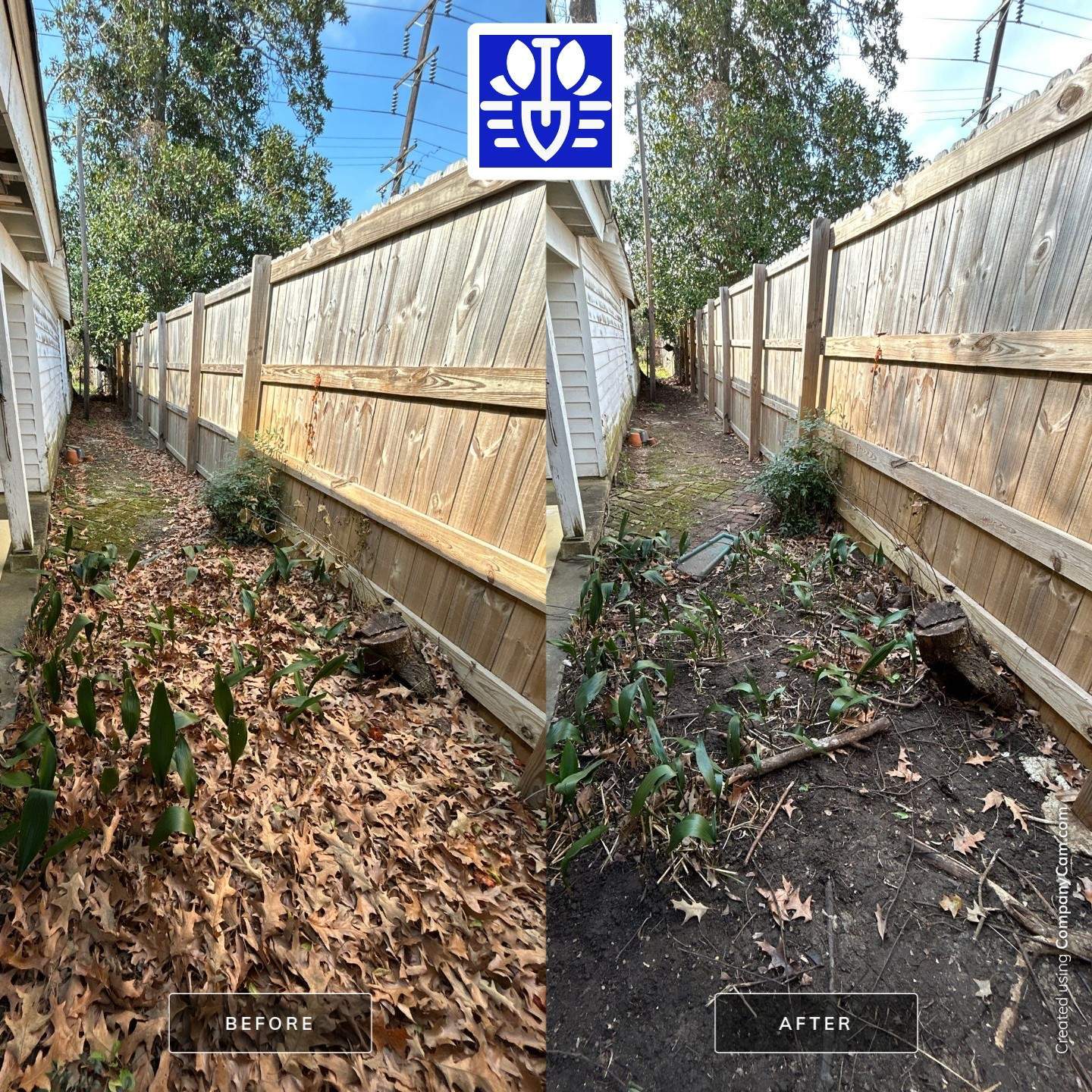 WINTER SERVICES: FULL LEAF JOB by CutScape, LLC.