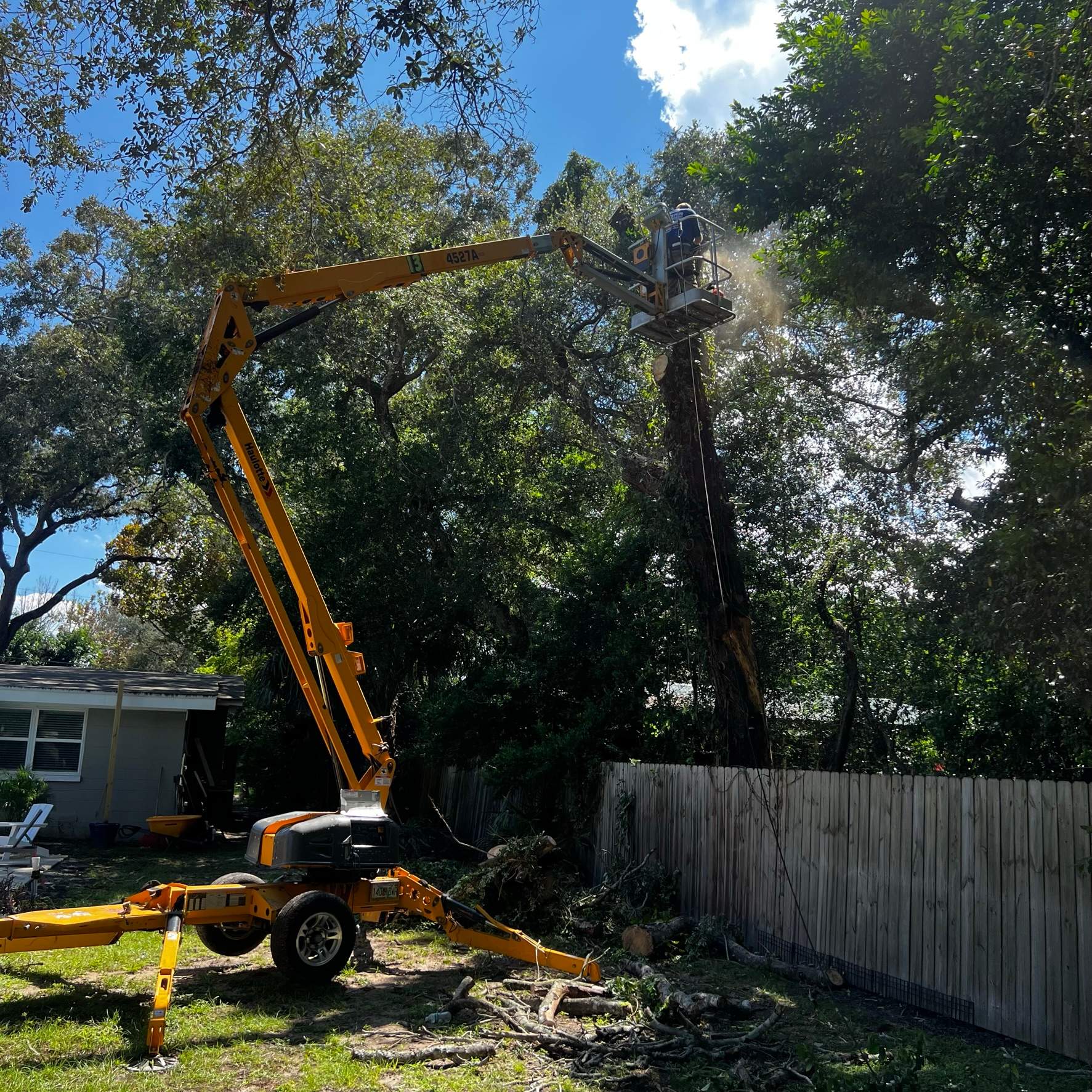 Tree Removal | Residential by ProGreen Services