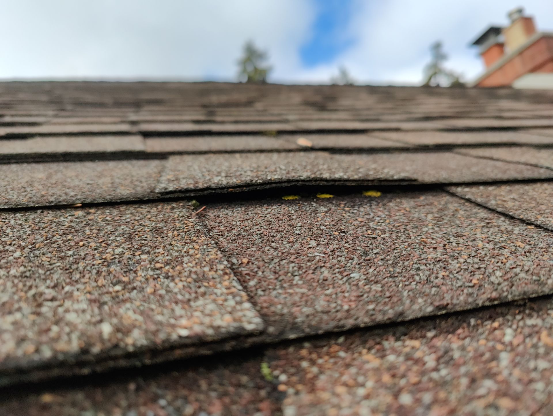 Roof Replacement using Owens Corning Desert Rose by 180 Contractors