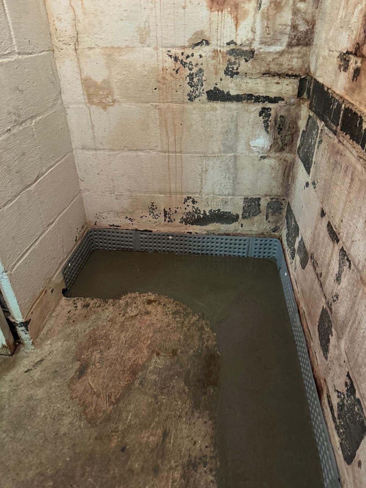 Interior French Drain Washington Township, NJ by Pure Service Pro, LLC 