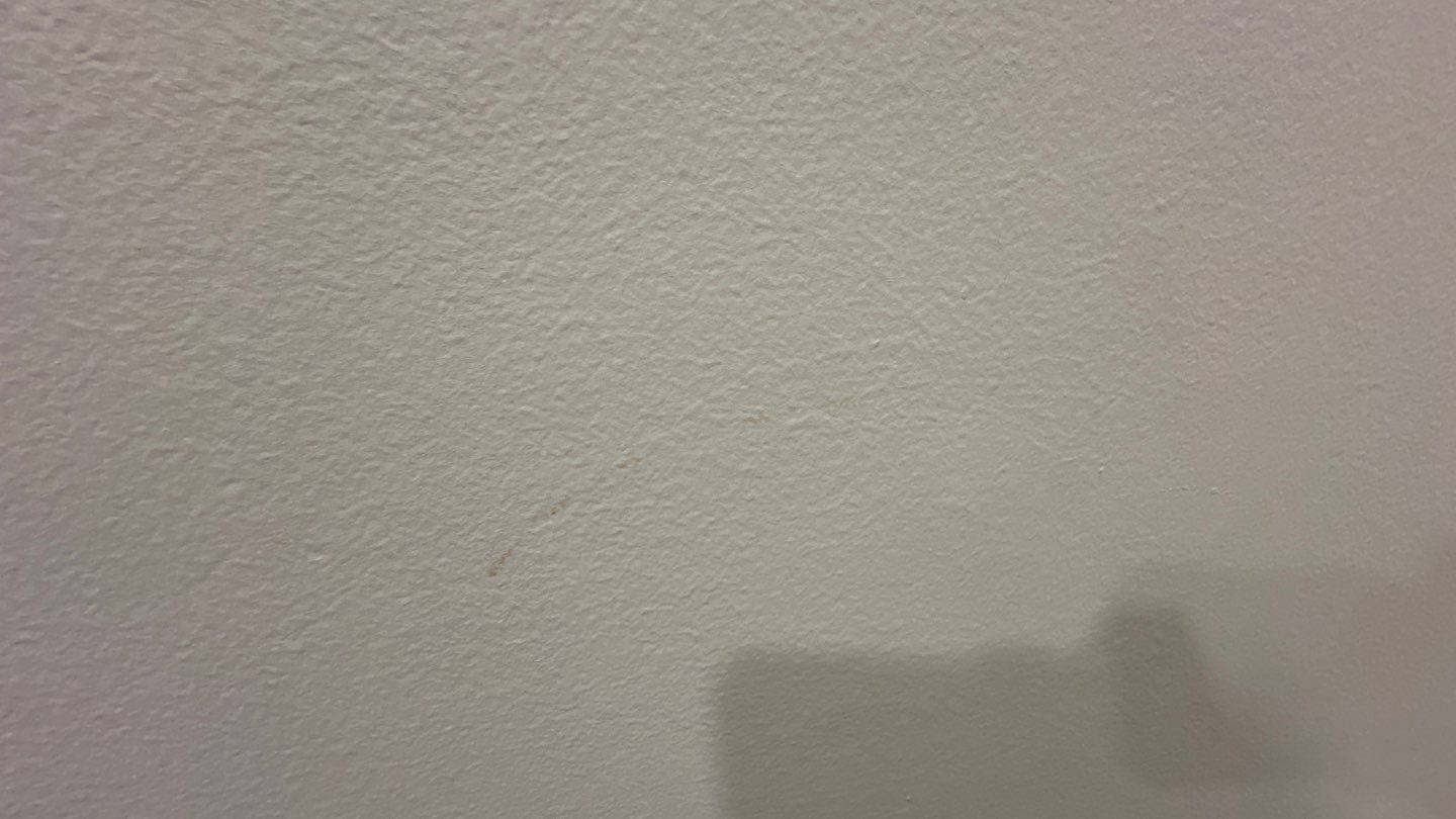 West Springfield: Major Tree Damage Restoration by RM Banning, Inc.