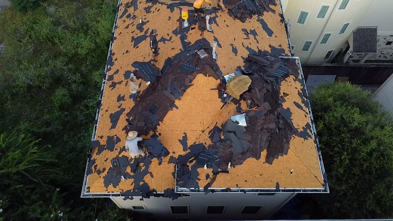 Jennifer S by Boss Hogg Roofing