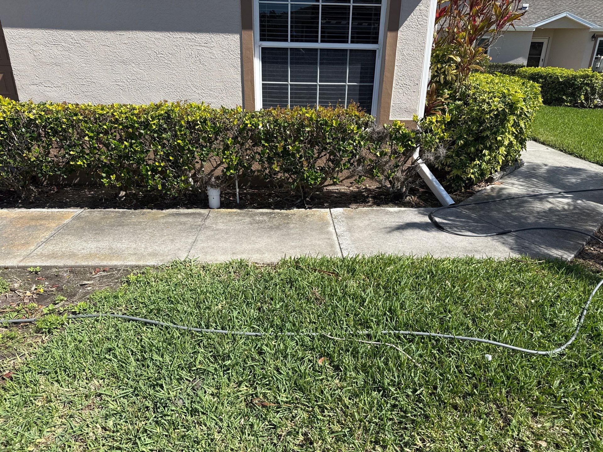 🚿 Another Stunning Driveway & Entryway Cleaning at Captain’s Court Condos – Terra Ceia, FL! by Sunshine AquaWash