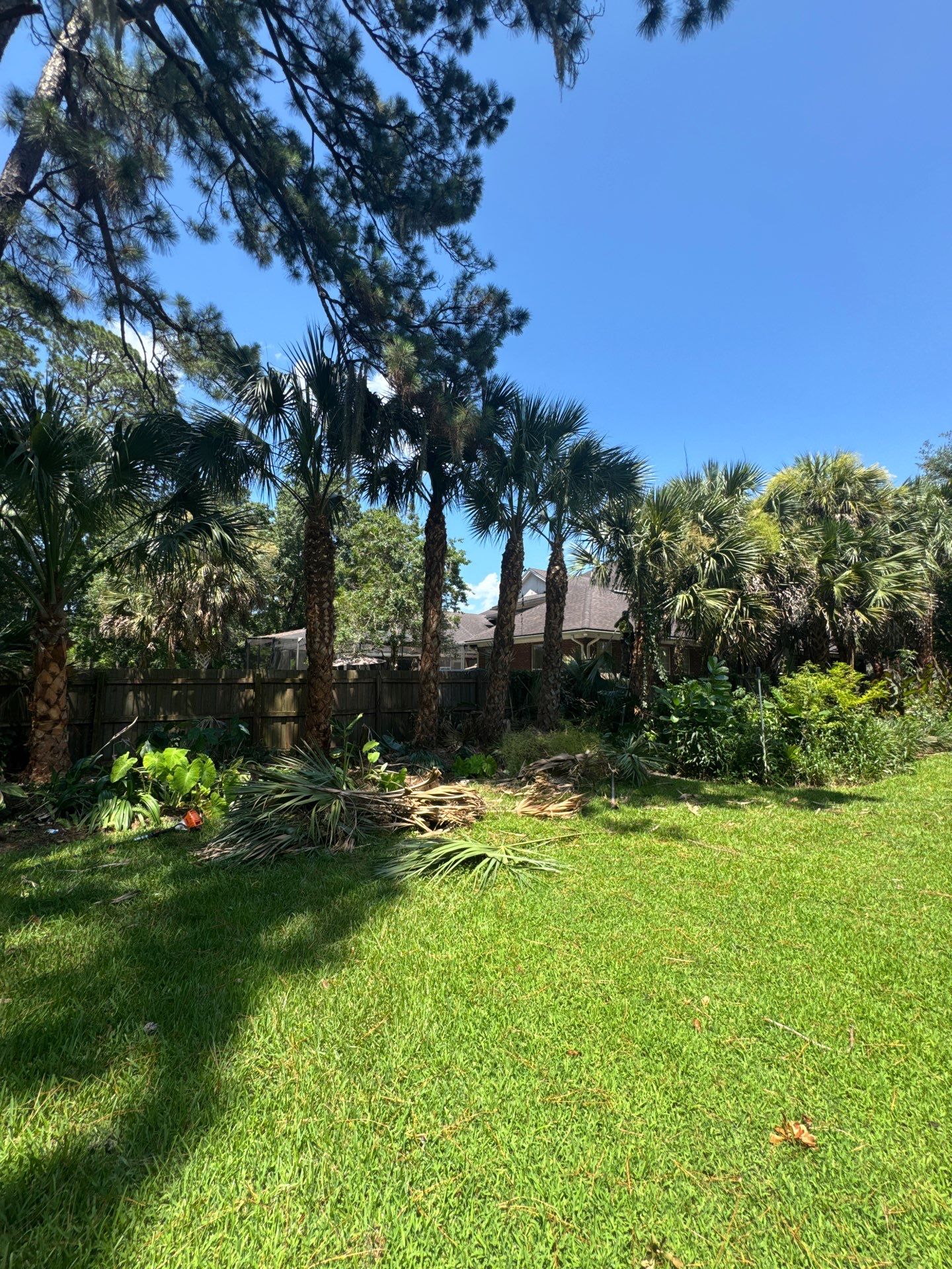 Deerwood Resident | Palm Tree Trimming & Booting by ProGreen Services