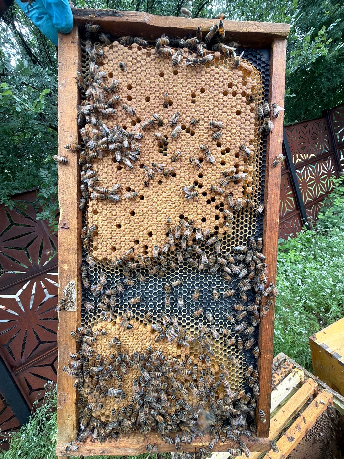Apartments on the Trails by Rockwall Honey Bee Company