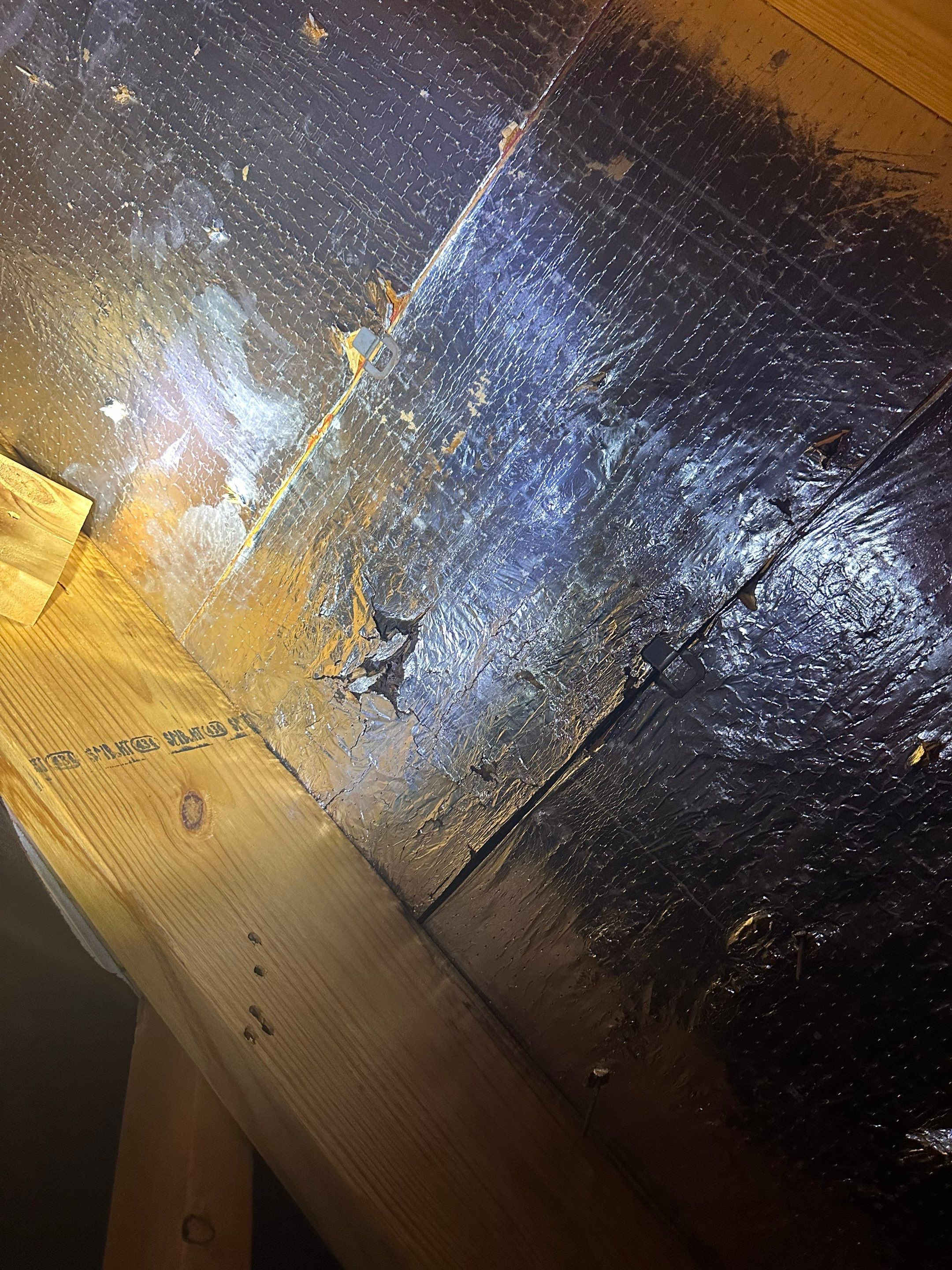 Hail Damage using Owen's Corning Duration (Lifetime) Shingles by Roof Repair Company