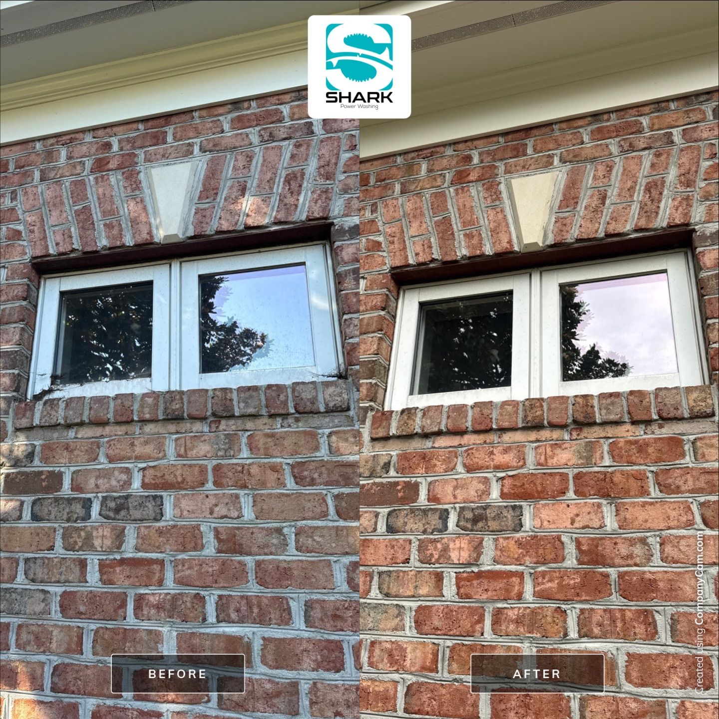 House & Window Cleaning in Wilmington by Shark Power Washing