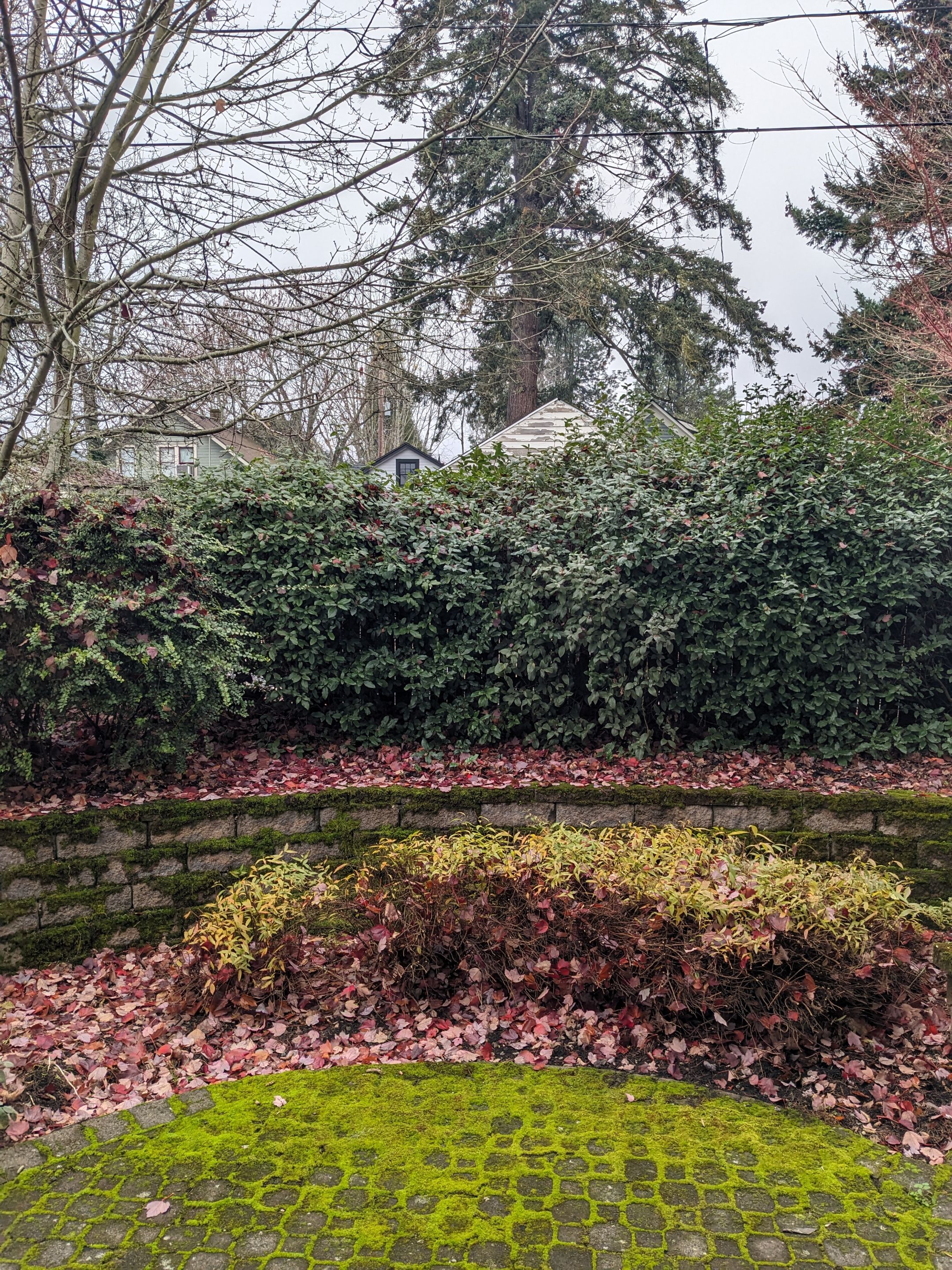 Landscape Design by CompanyCam Help Articles Test