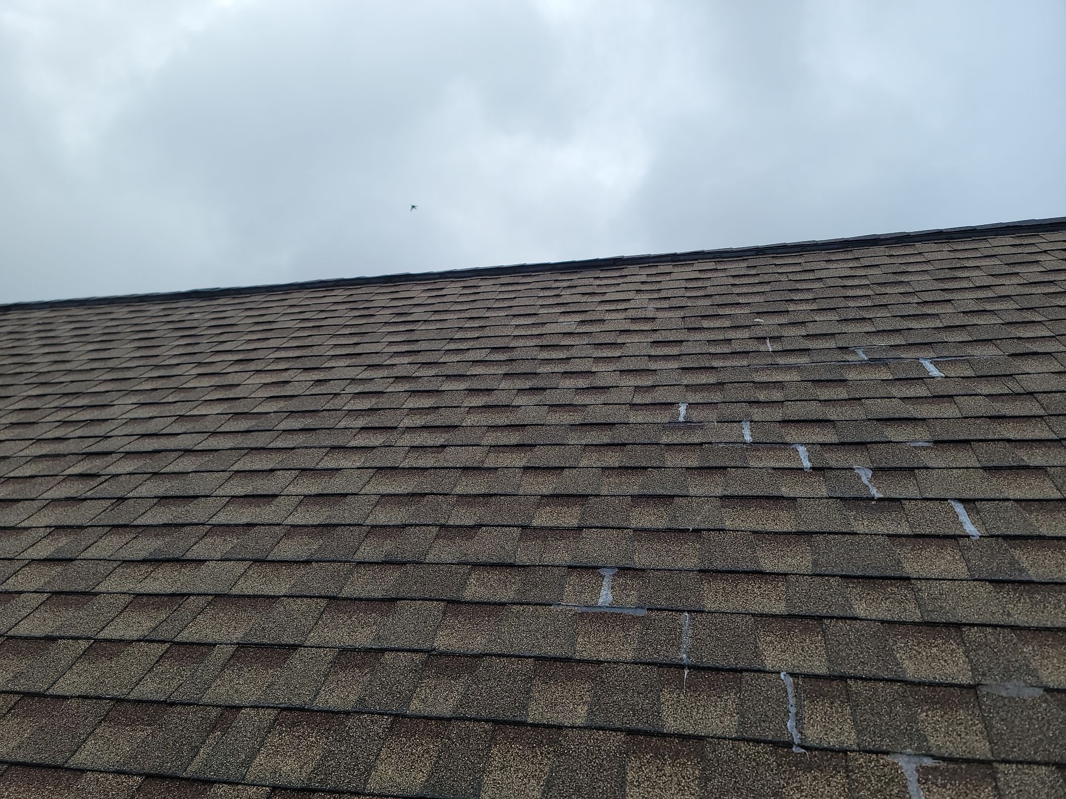 Atlas Pinnacle, Color: Morning Harvest, Drip Edge: Royal Brown by Eagle Eye Roofing