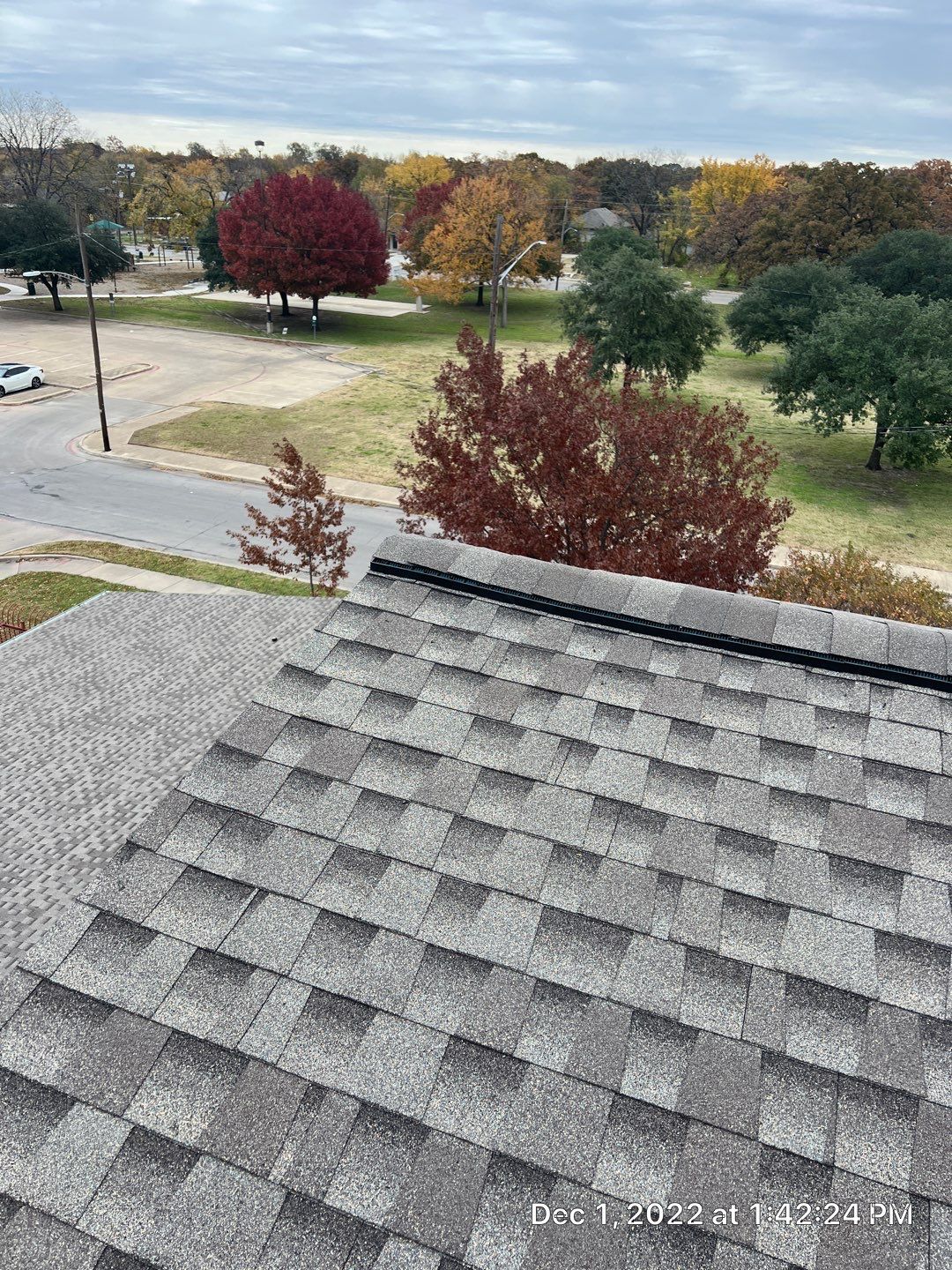 Community project by Springtree Restoration 