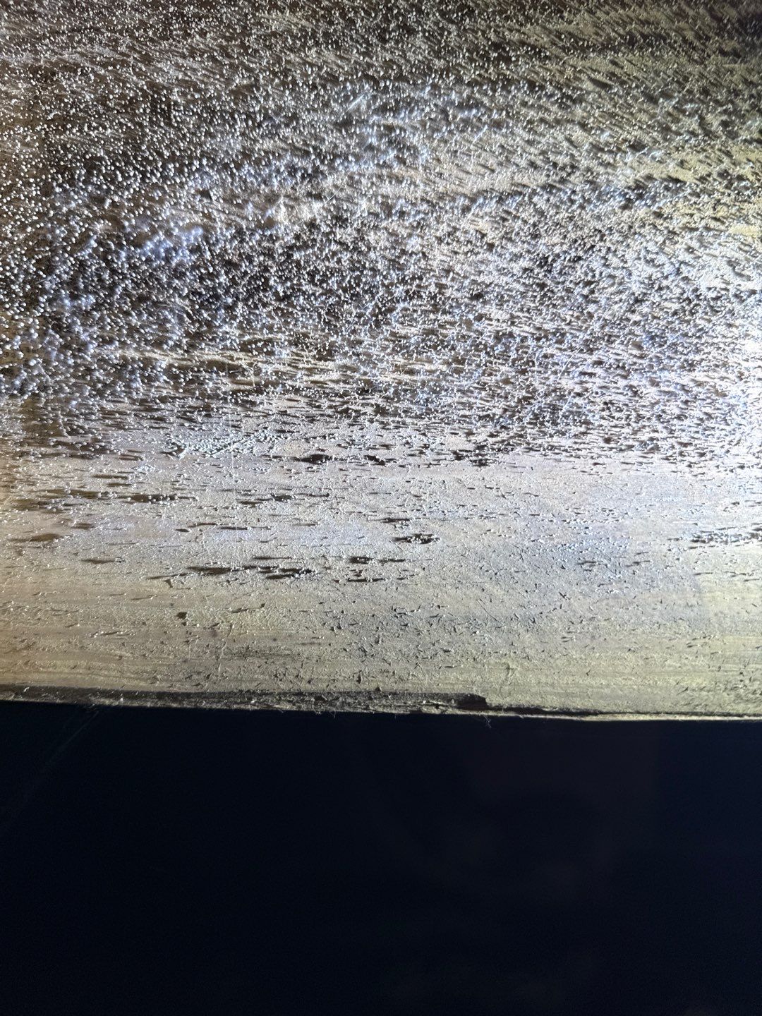 Real Estate Mold Remediation by Healthy Home Solutions