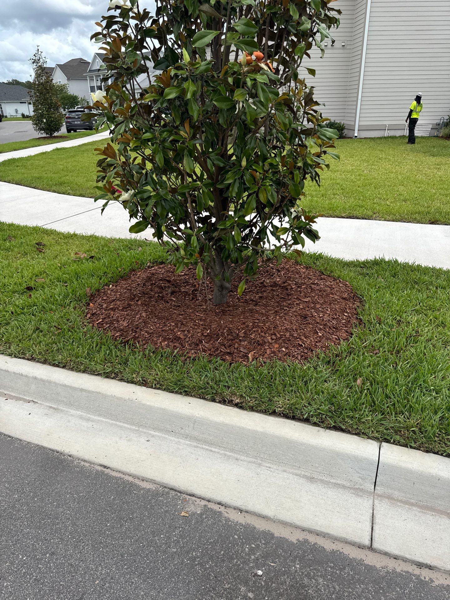 Residential | Sod Install by ProGreen Services