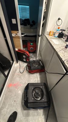 Emergency Water Extraction — Estero, FL