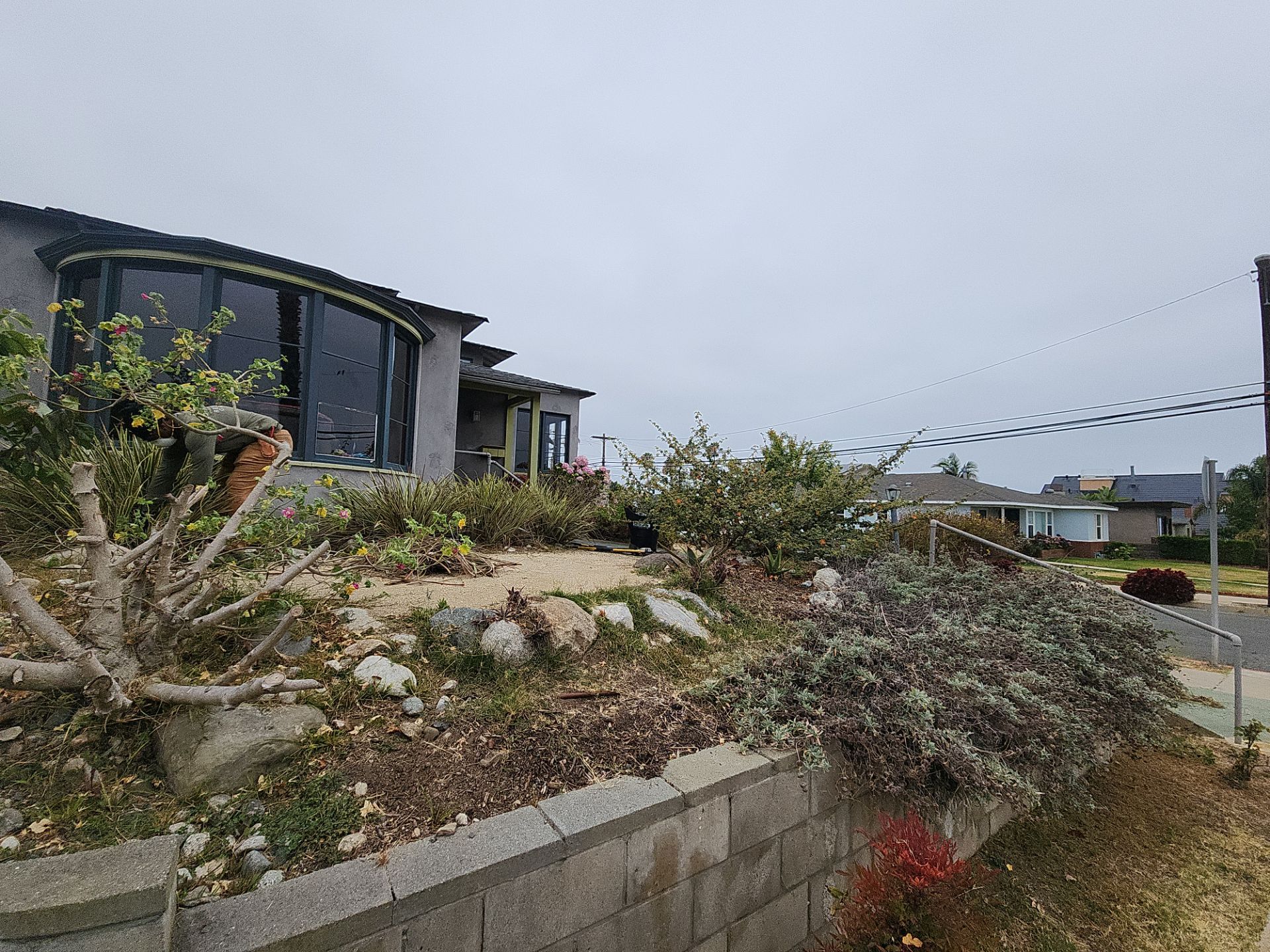 San Diego Landscape Clean Up by Yard Techs