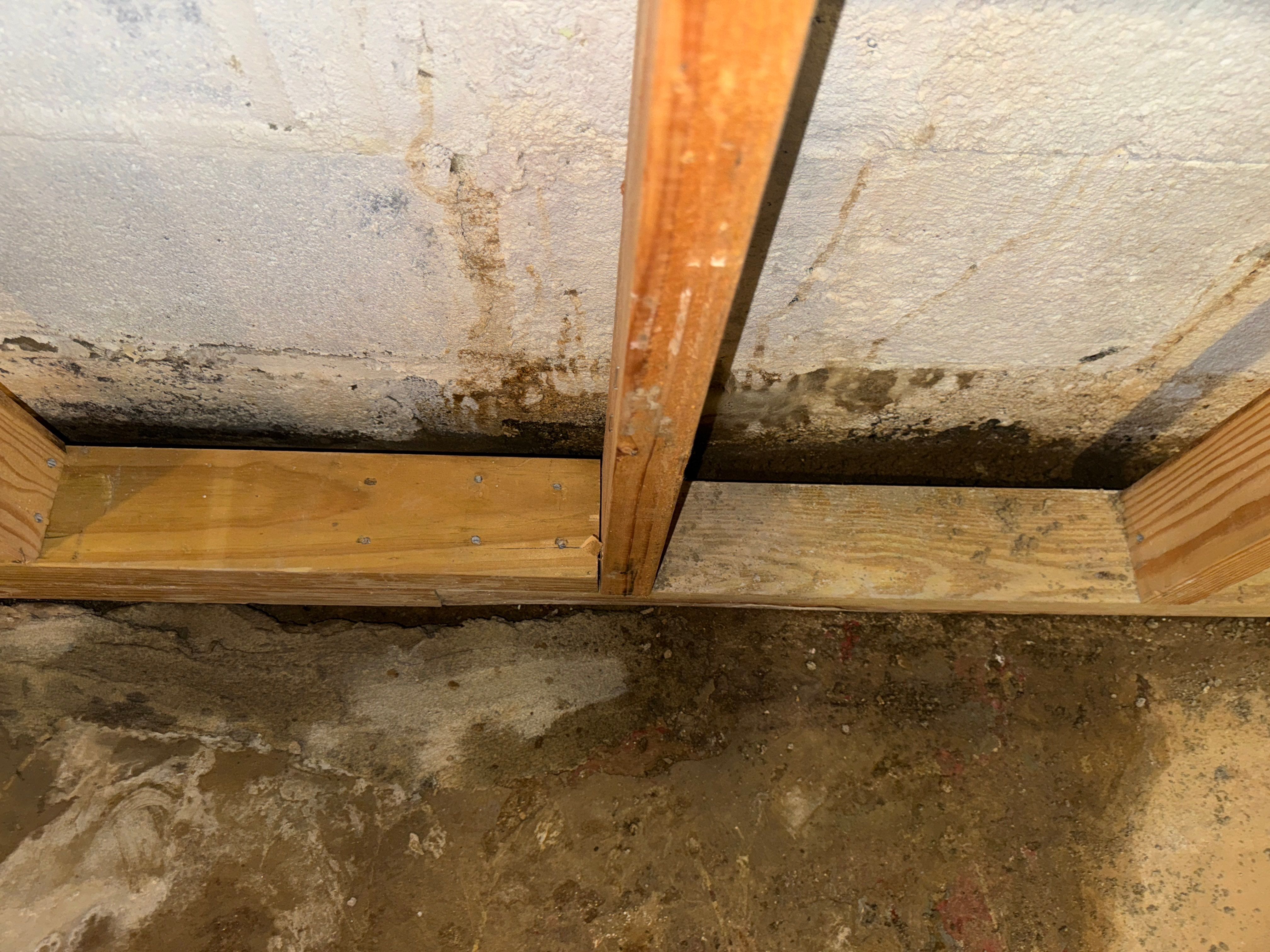 Interior French Drain Livingston NJ by Pure Service Pro, LLC 