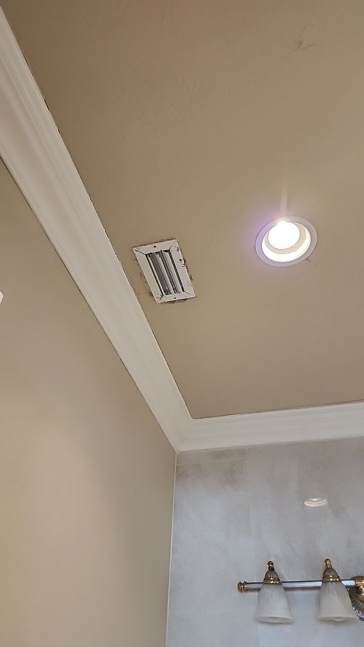 HVAC MOLD ASSESMENT by Building performance Solutions LLC