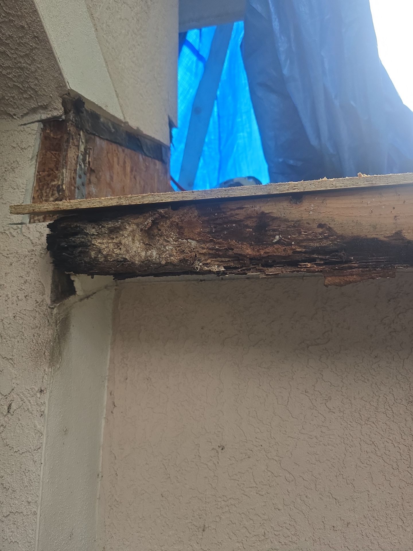 Roof Replacement in Lithia, FL by Shingle Masters Roofing