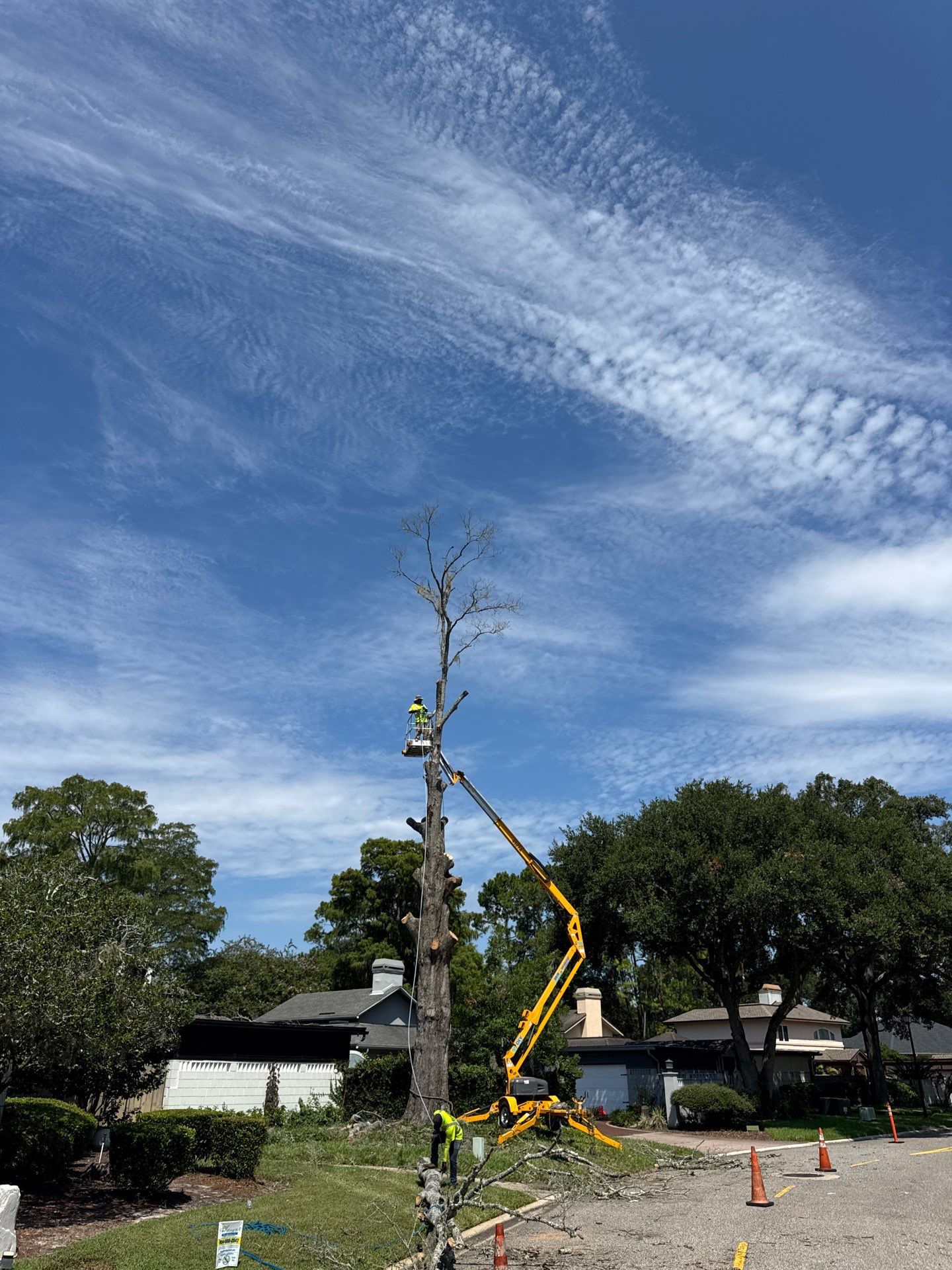 Deerwood Resident | Tree Removal by ProGreen Services