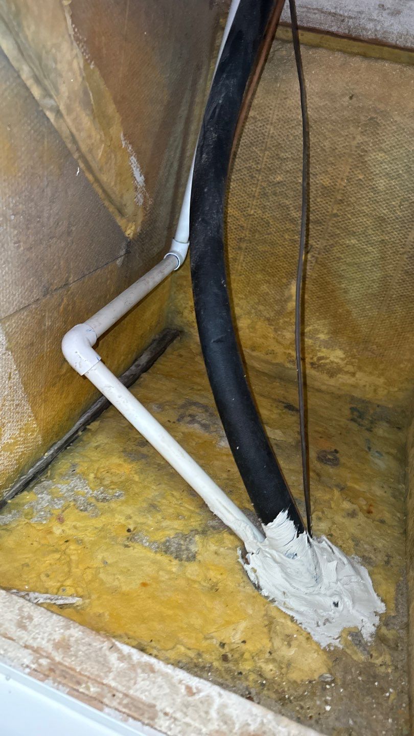 Air Duct Cleaning in Tavares by Hygienic Air, Inc